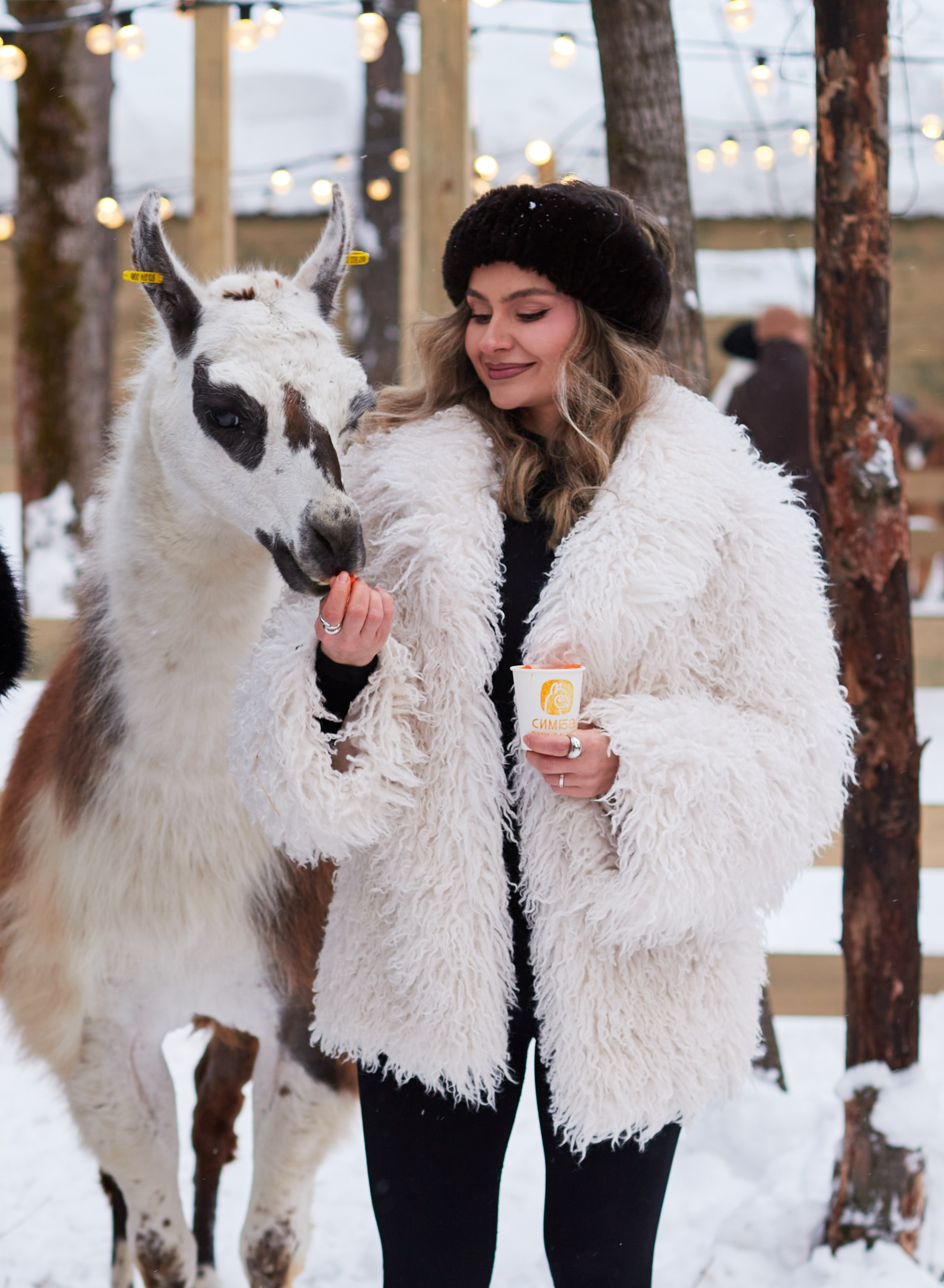 Альпака парк «Симба». Профессиональный фотограф Лилия Галеева