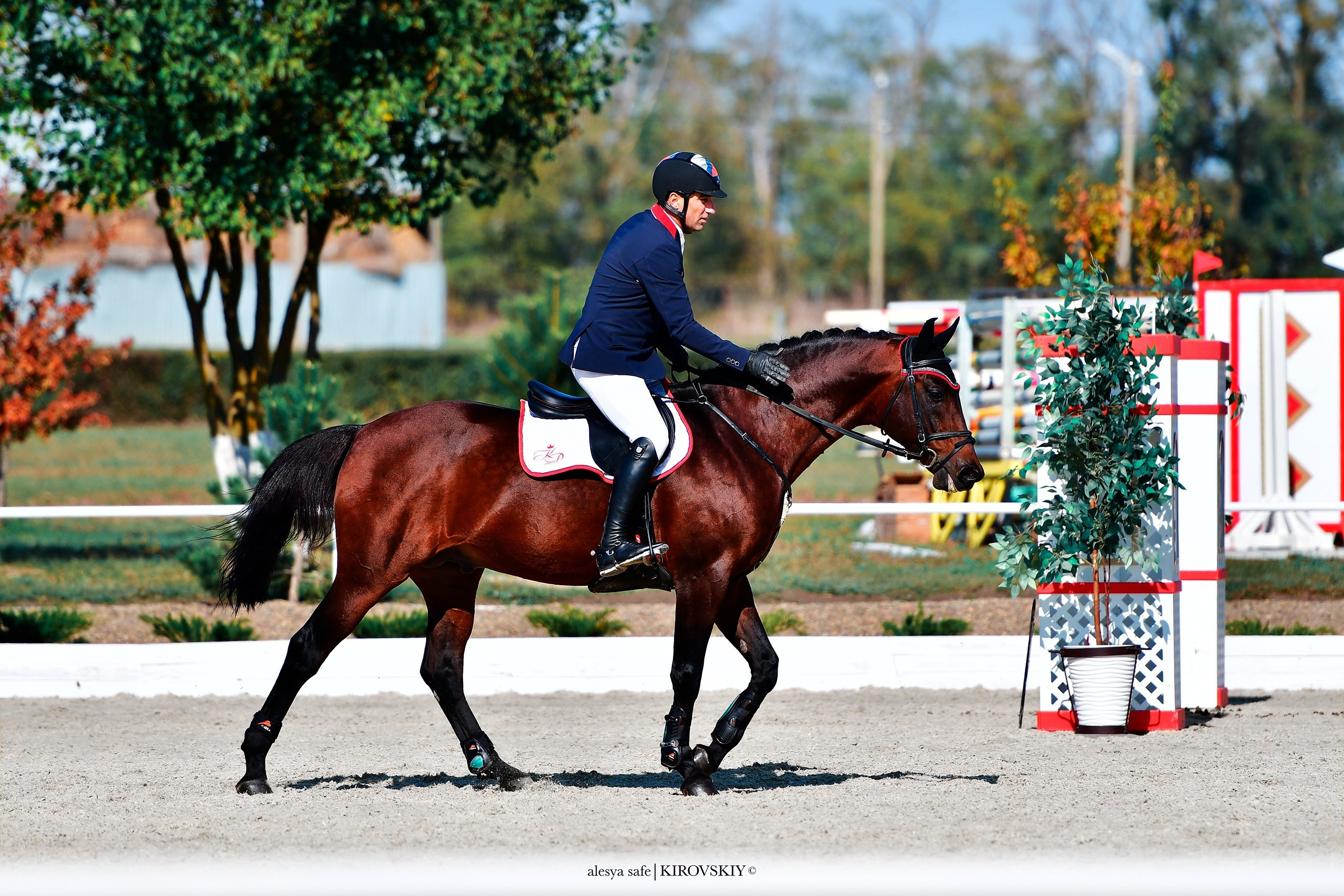 Кировский конный завод. Конный фотограф Alesya Safe