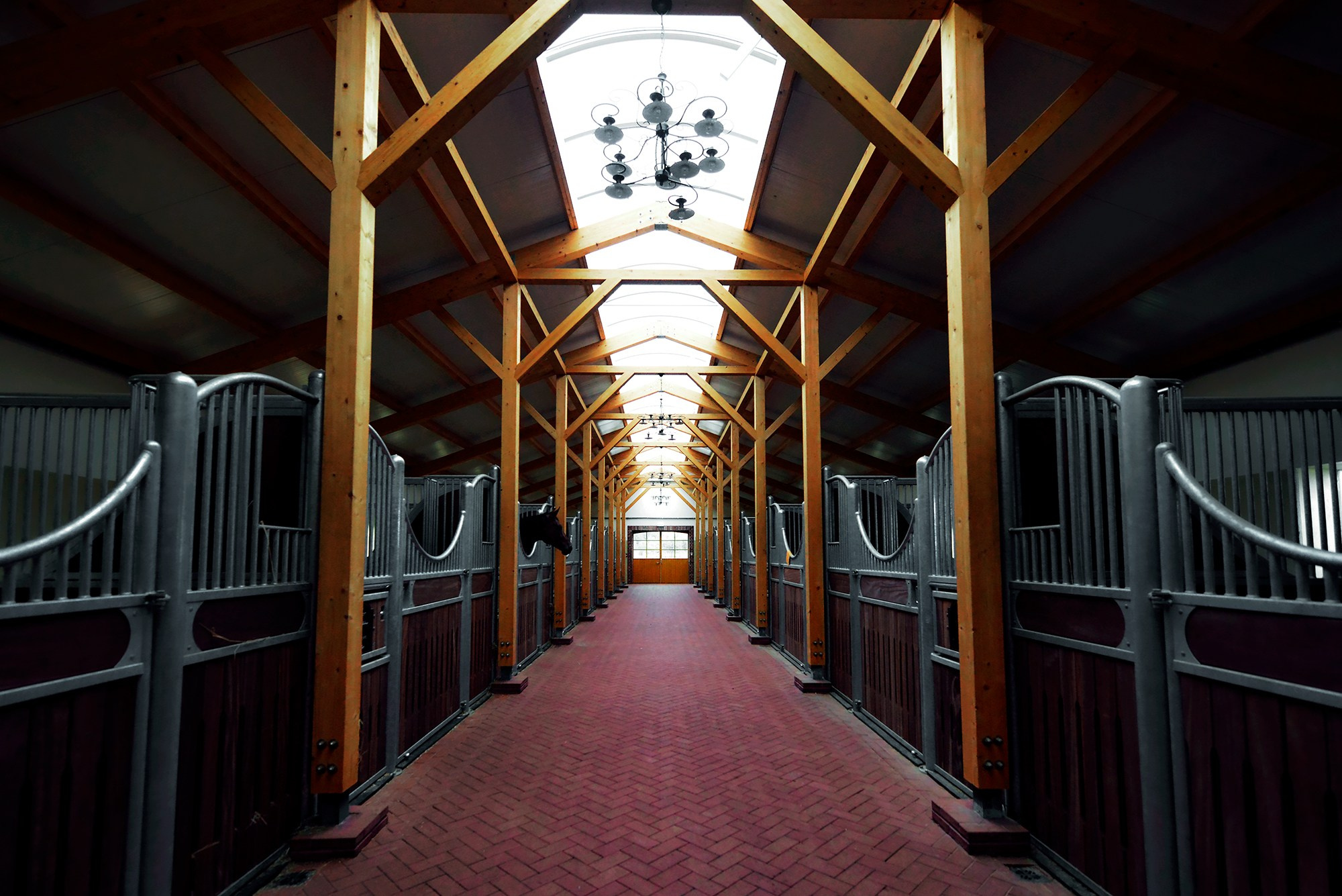 ЕС. Конный фотограф Alesya Safe