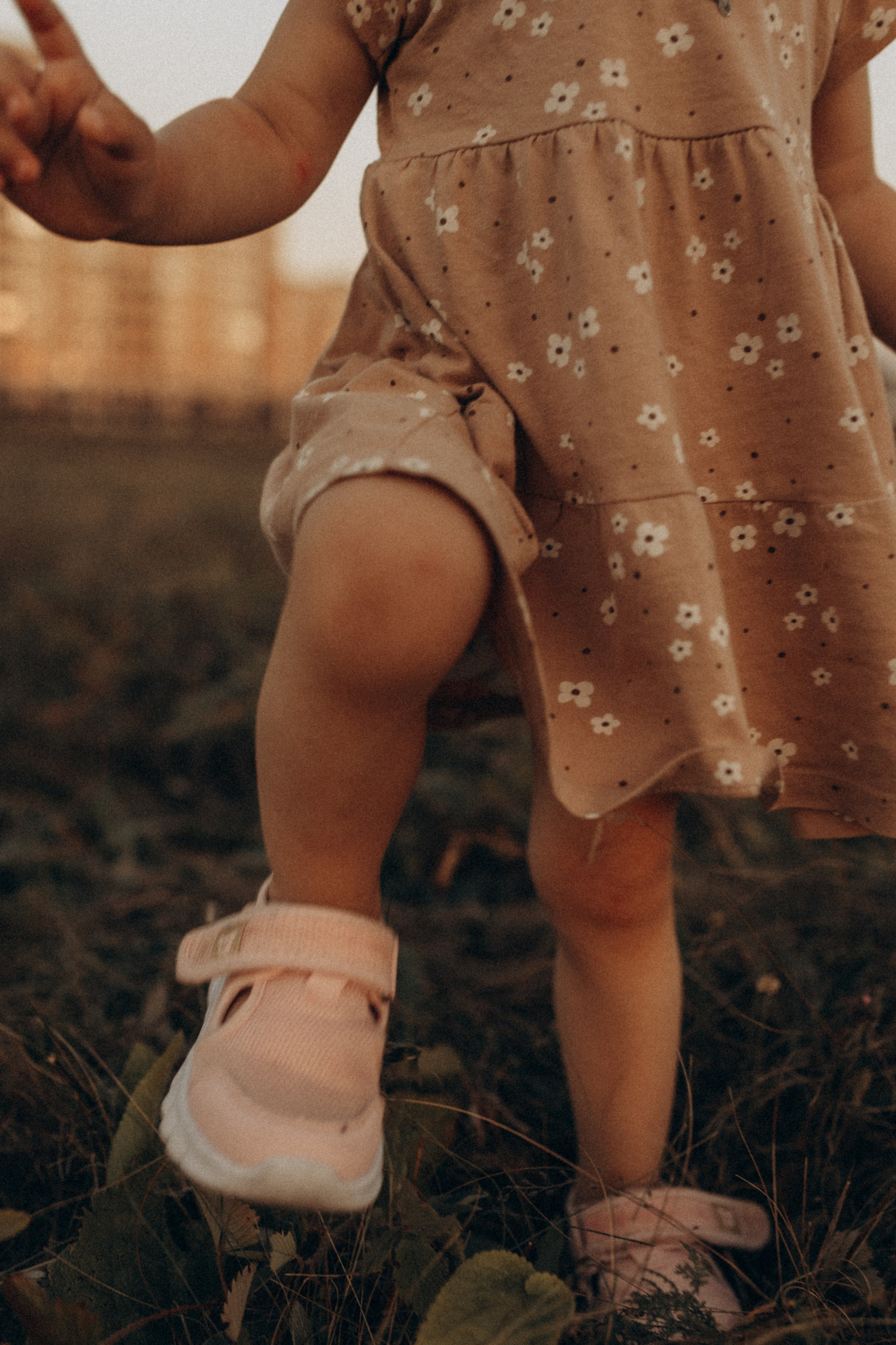 Семейная фотосессия. Летние закаты. Фотограф в Ставрополе Svetlana Matveeva