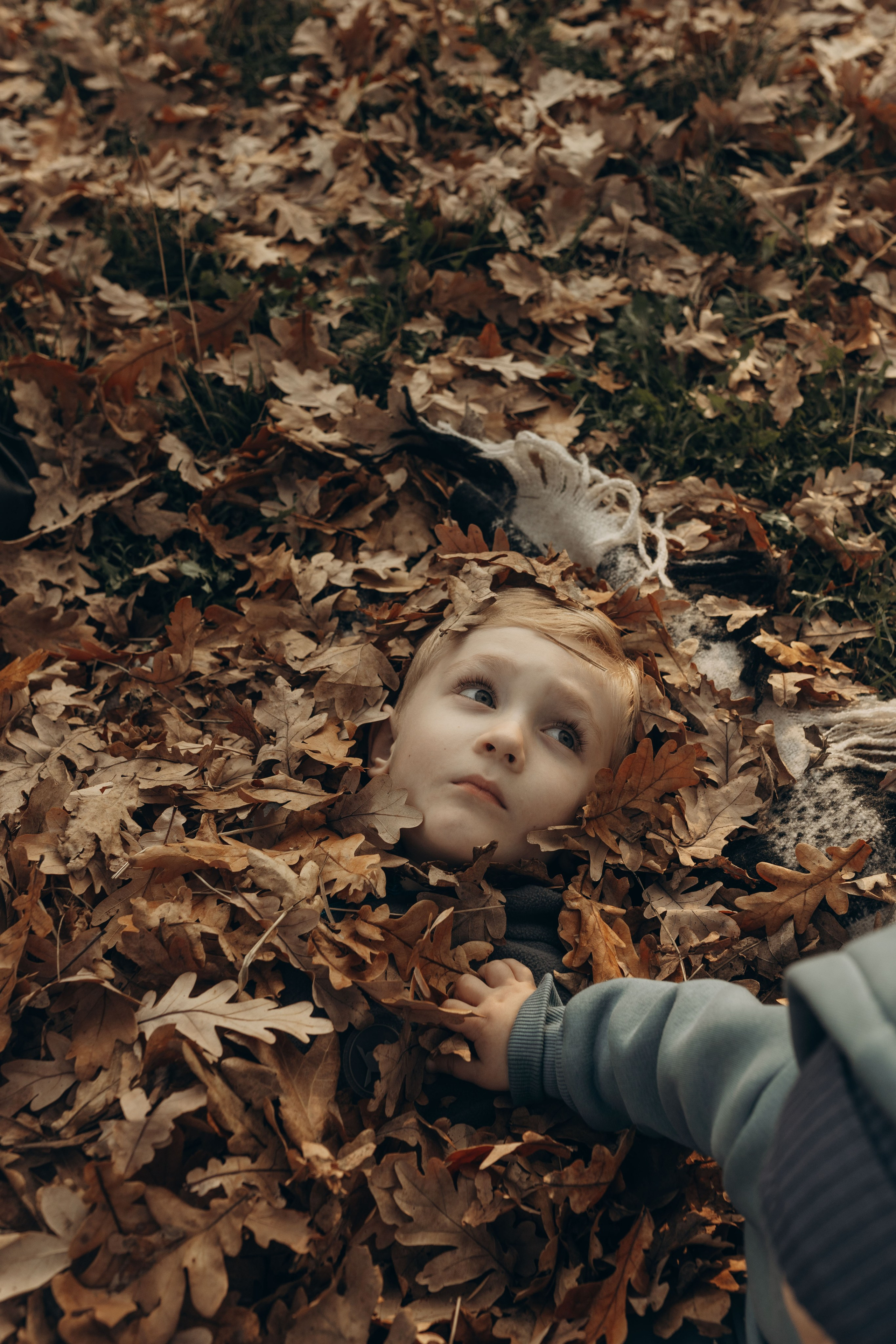 Семейная осенняя фотосессия. Фотограф в Ставрополе Svetlana Matveeva