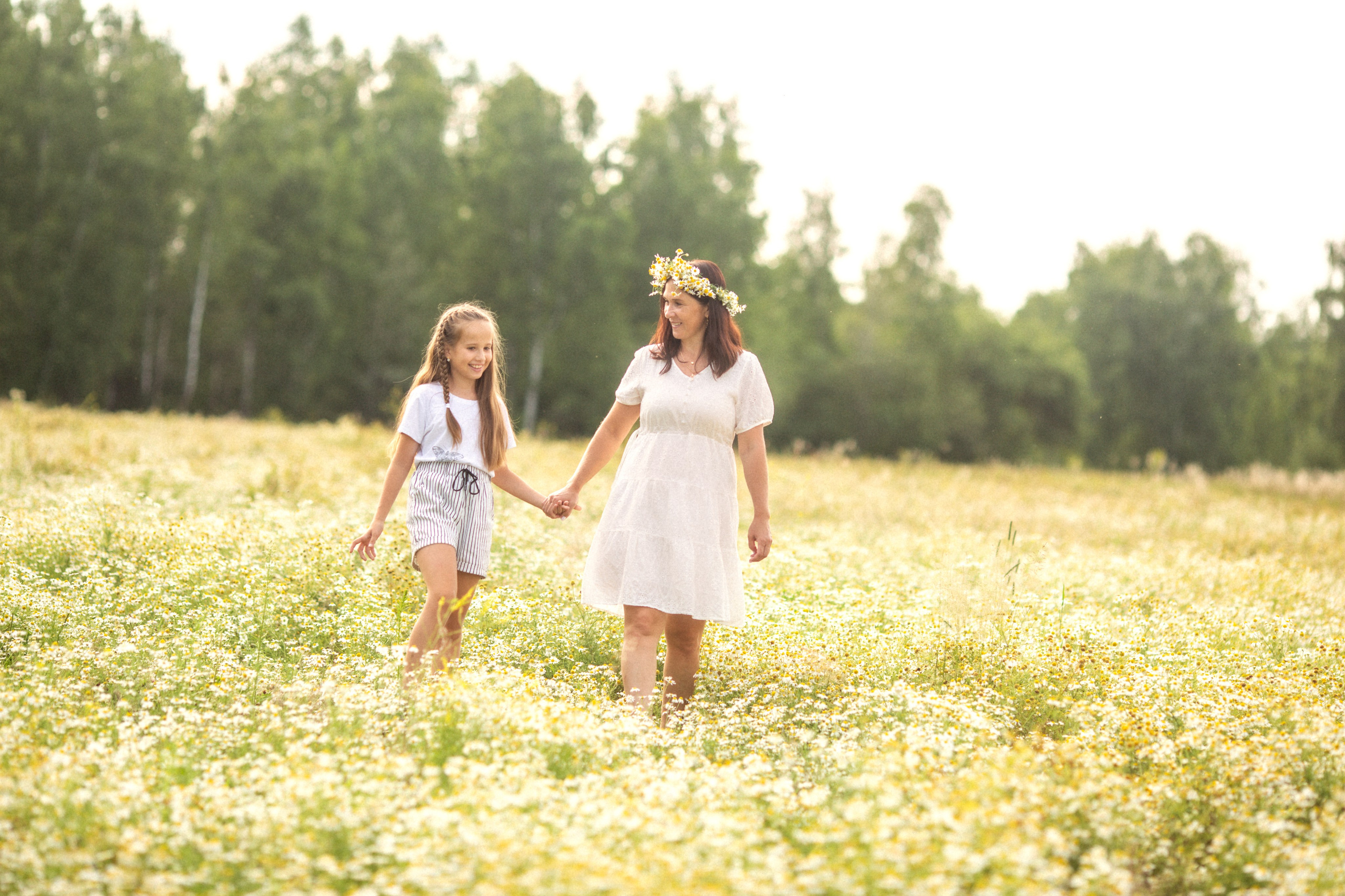 Ромашковый фотодень