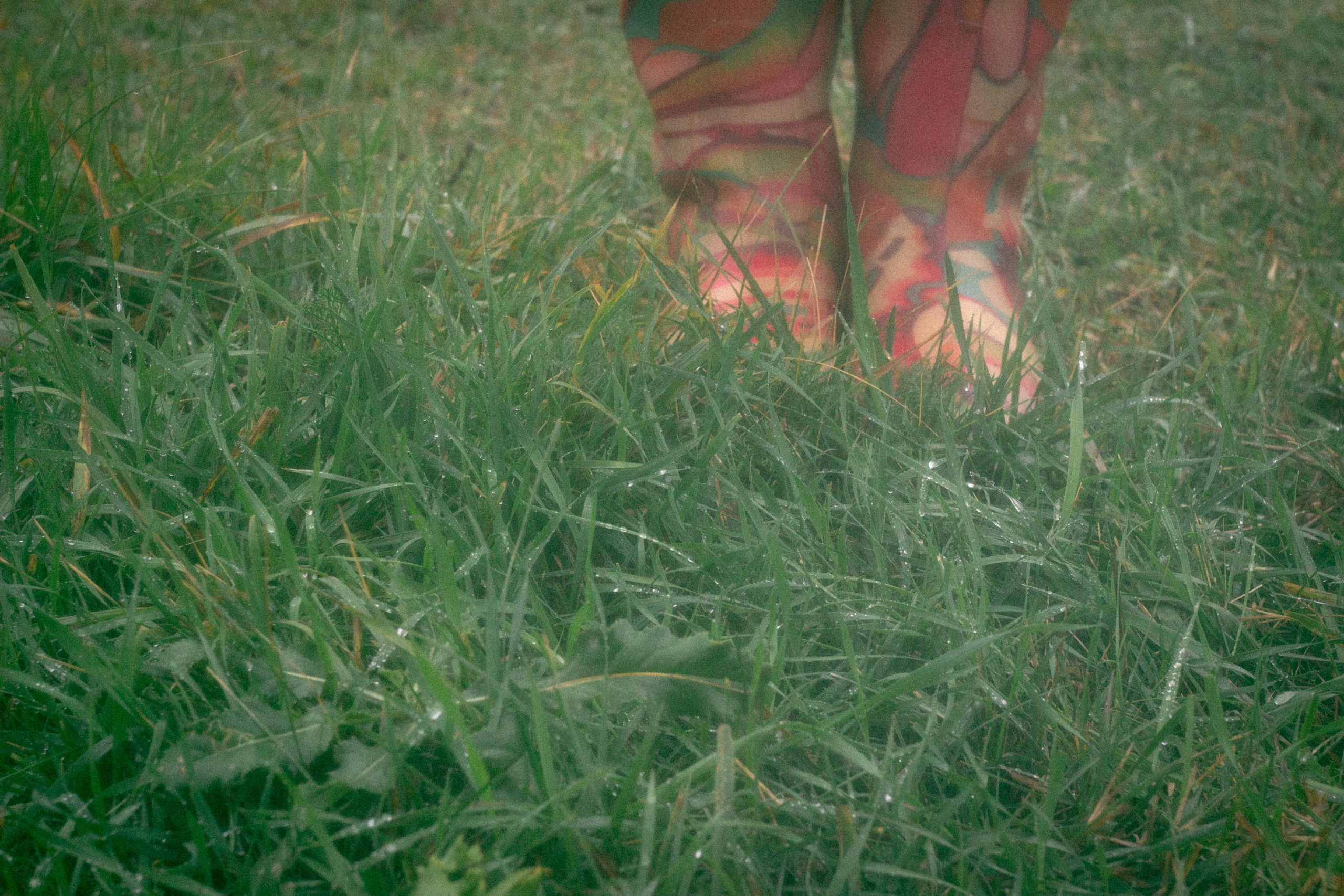 Туманная осень. • Фотограф Александра Светозар Алчевск •