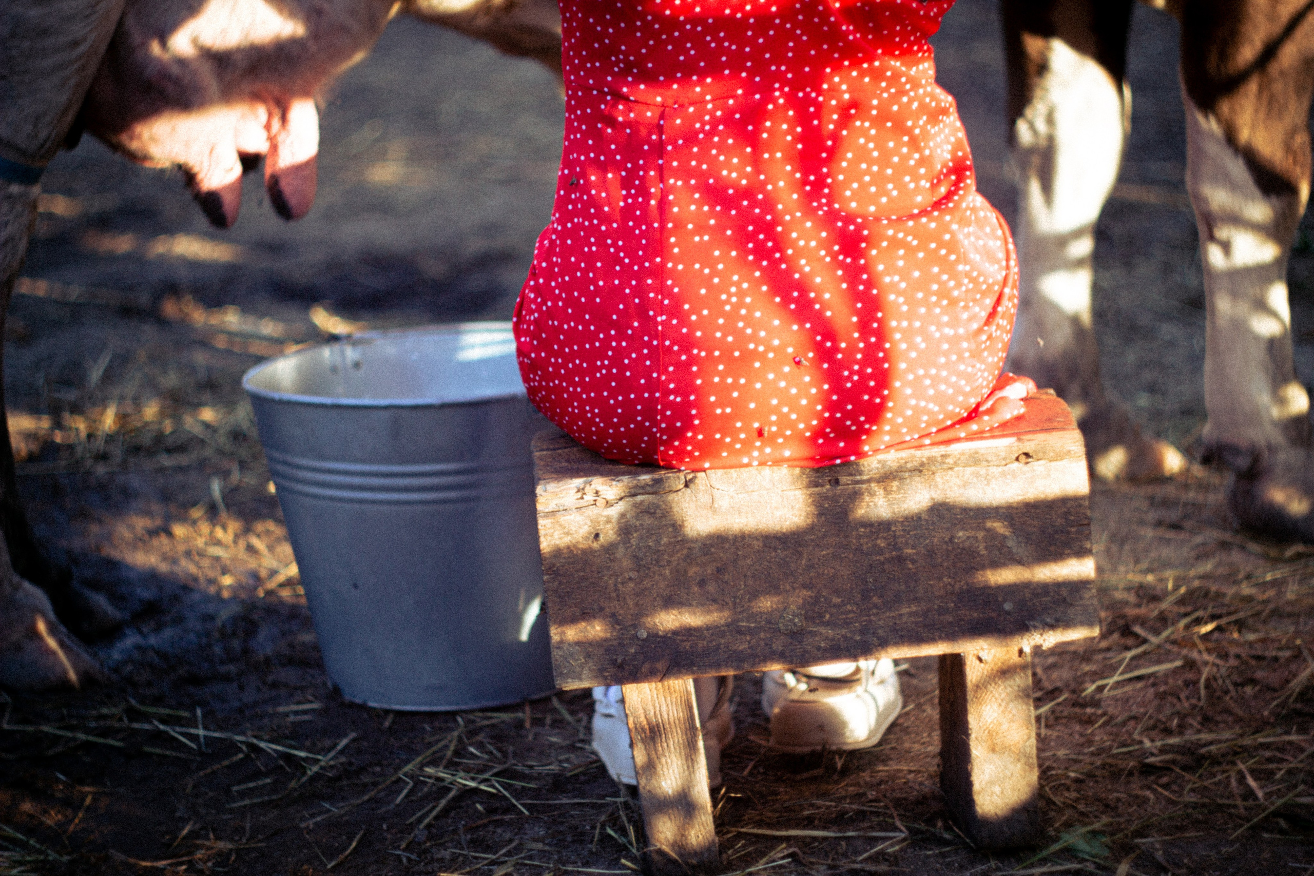 Платье в горошек. • Фотограф Александра Светозар Алчевск •