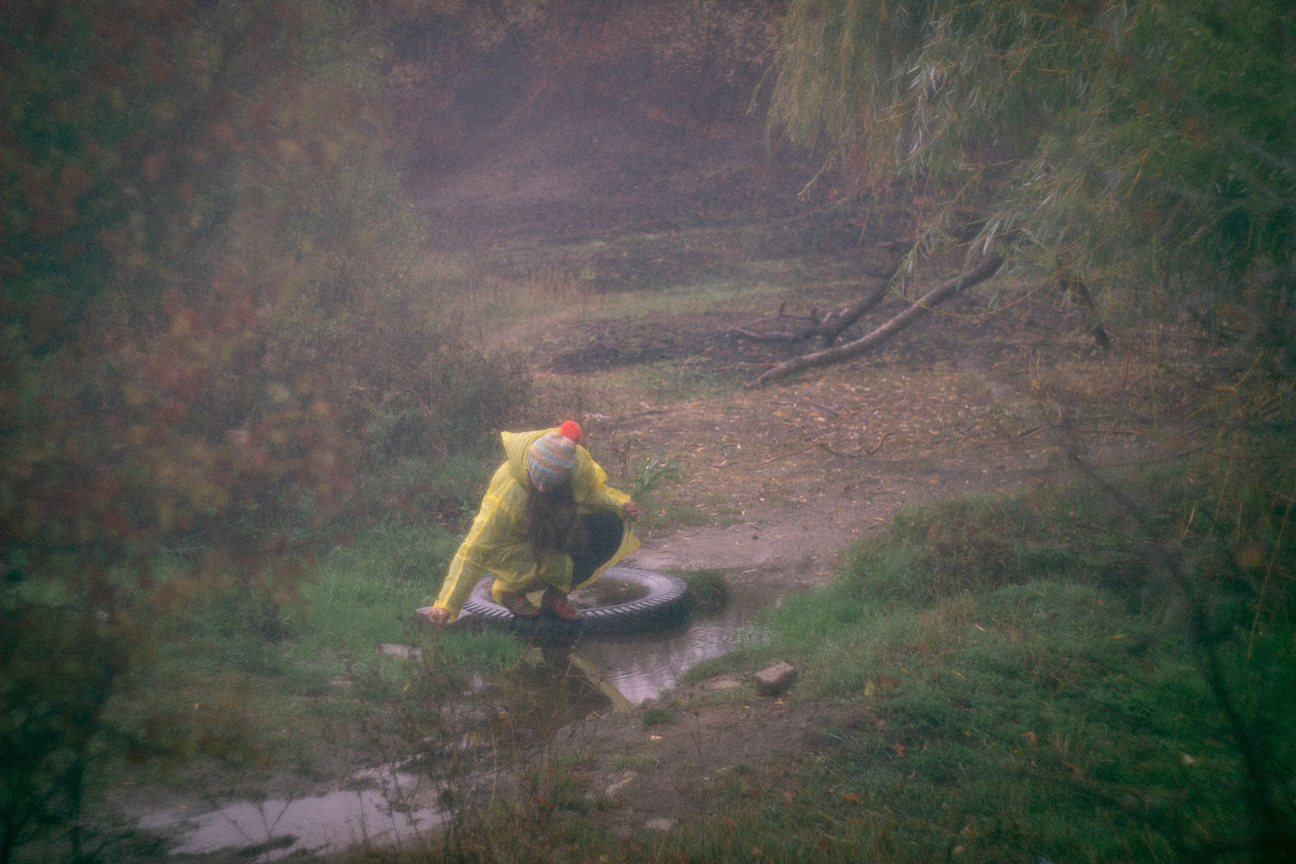 Туманная осень. • Фотограф Александра Светозар Алчевск •