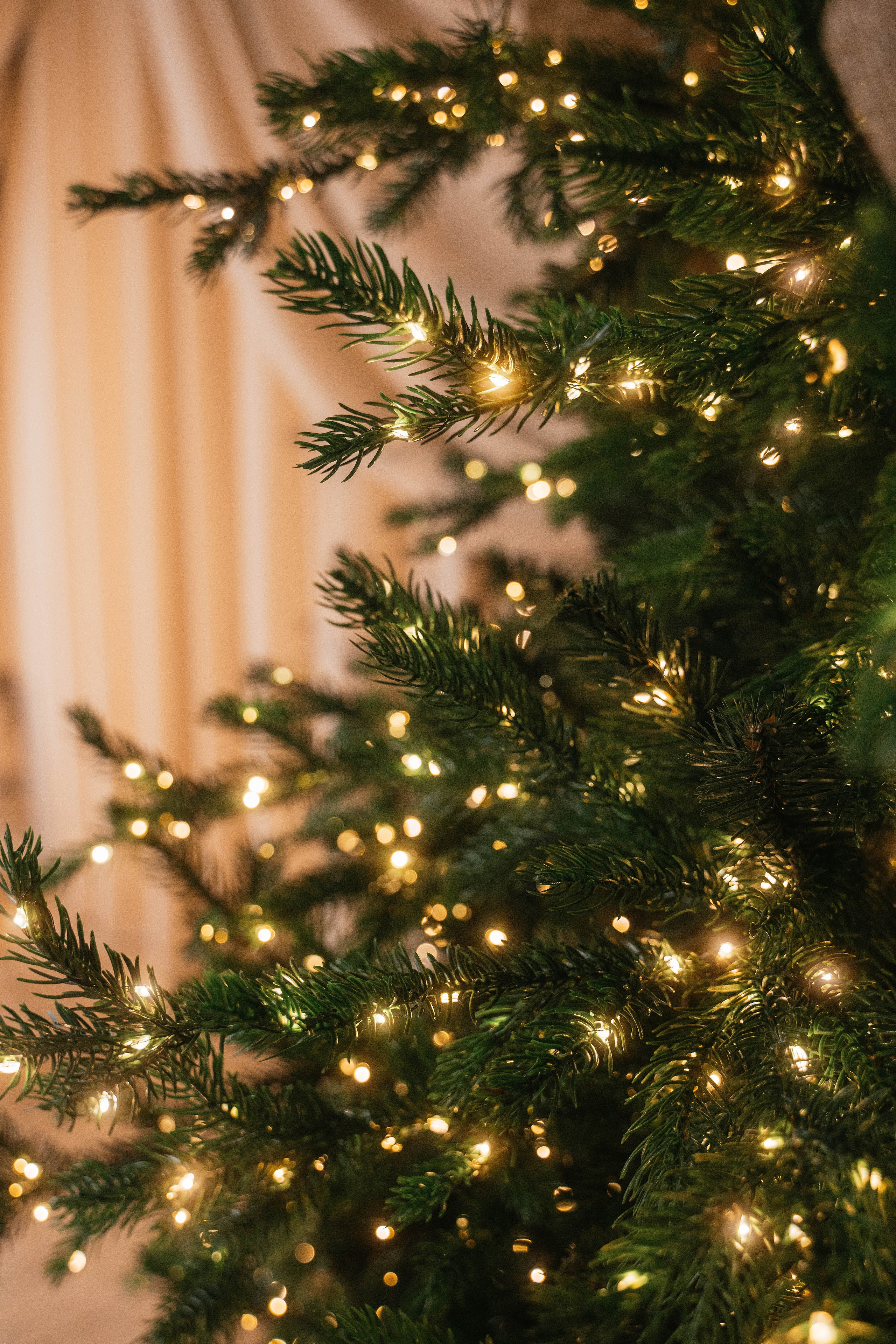 Олеся и Платон. Свадебный, семейный фотограф в Рязани Лена Брант