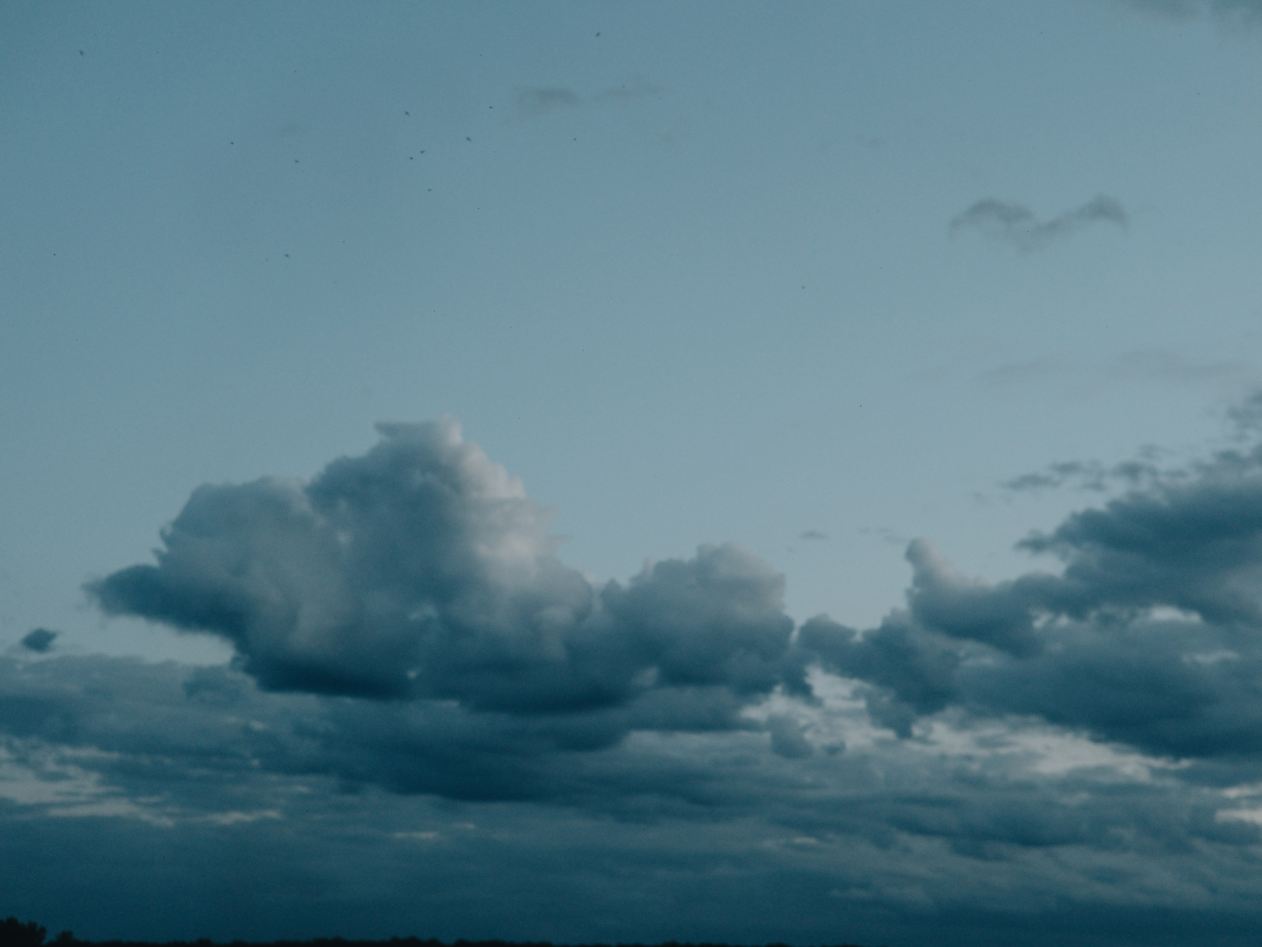 Свадебные съемки. Ксения Плотникова