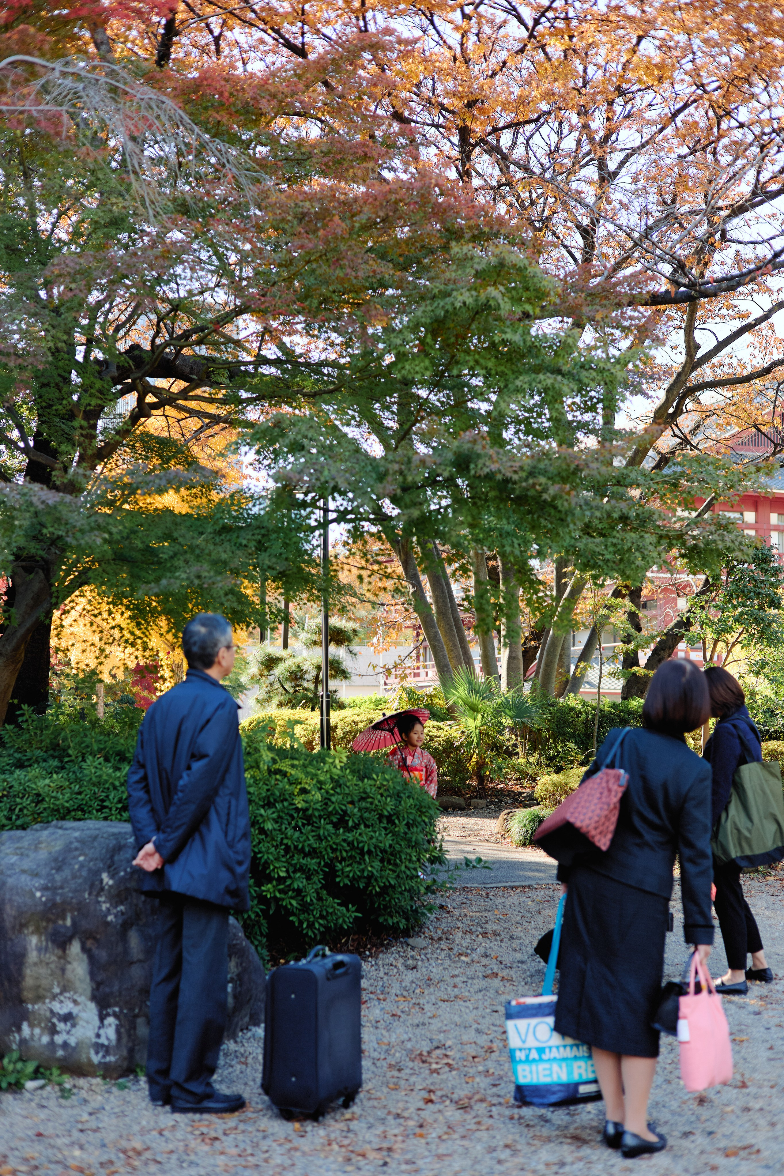 Япония. Профессиональный Фотограф во Владимире, в Москве и в Суздале — Полина Романычева