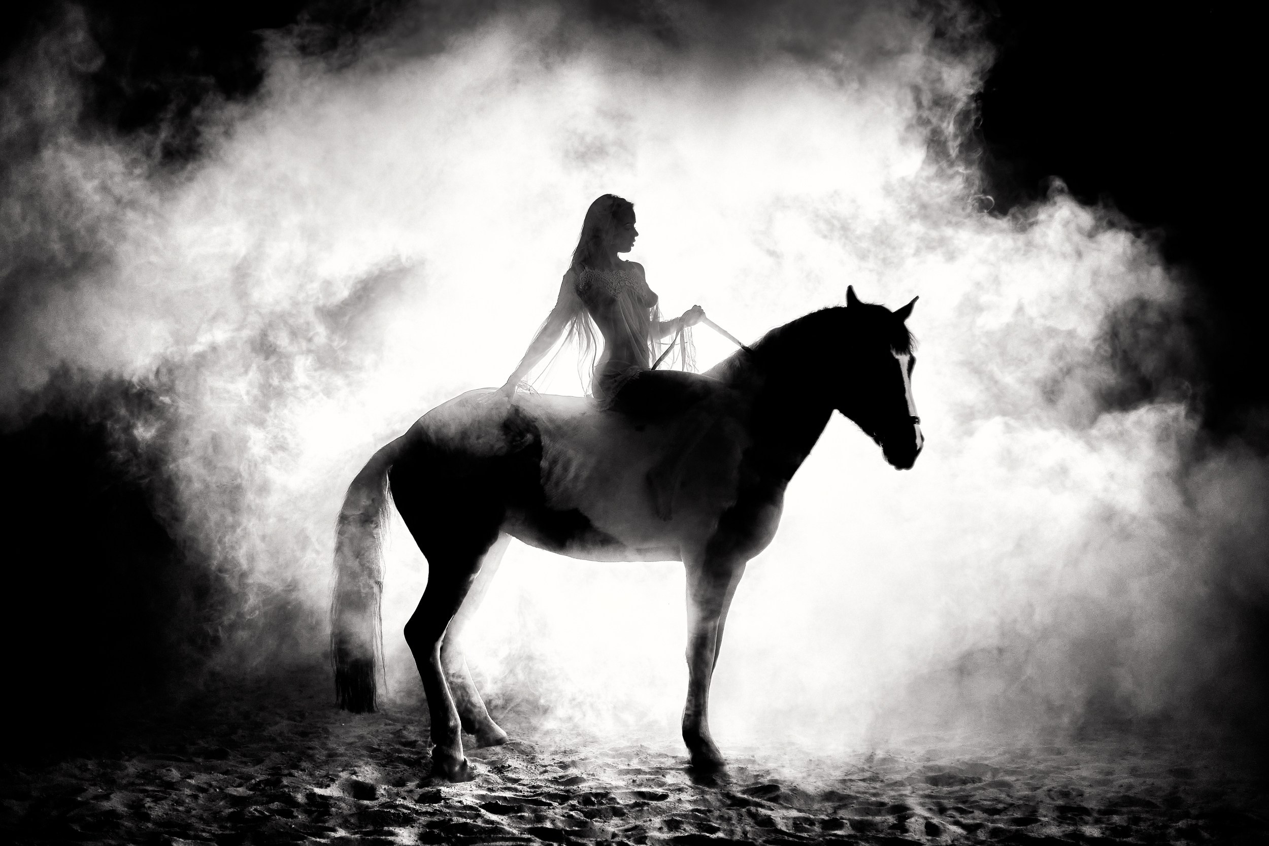 Фотосессия с лошадьми, Фотограф Михаил Семенов г. Ярославль