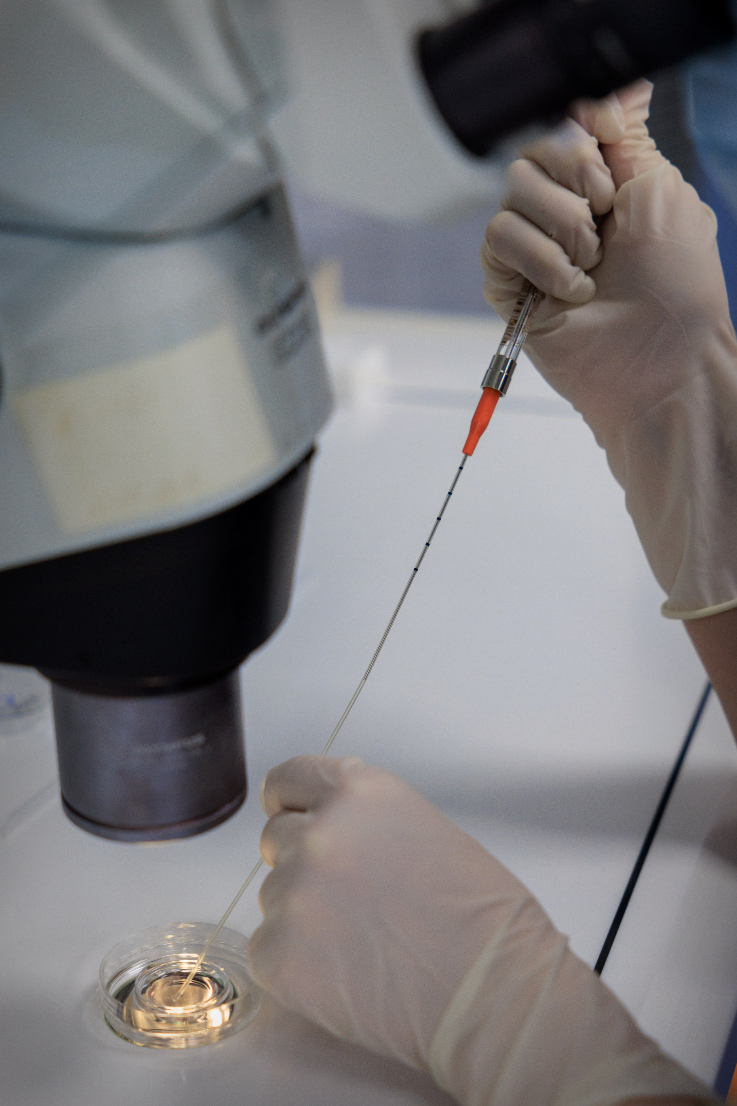 Бизнес-фотограф в Алматы — корпоративные съёмки, деловые портреты и репортажи. Профессиональный фотограф в Алматы