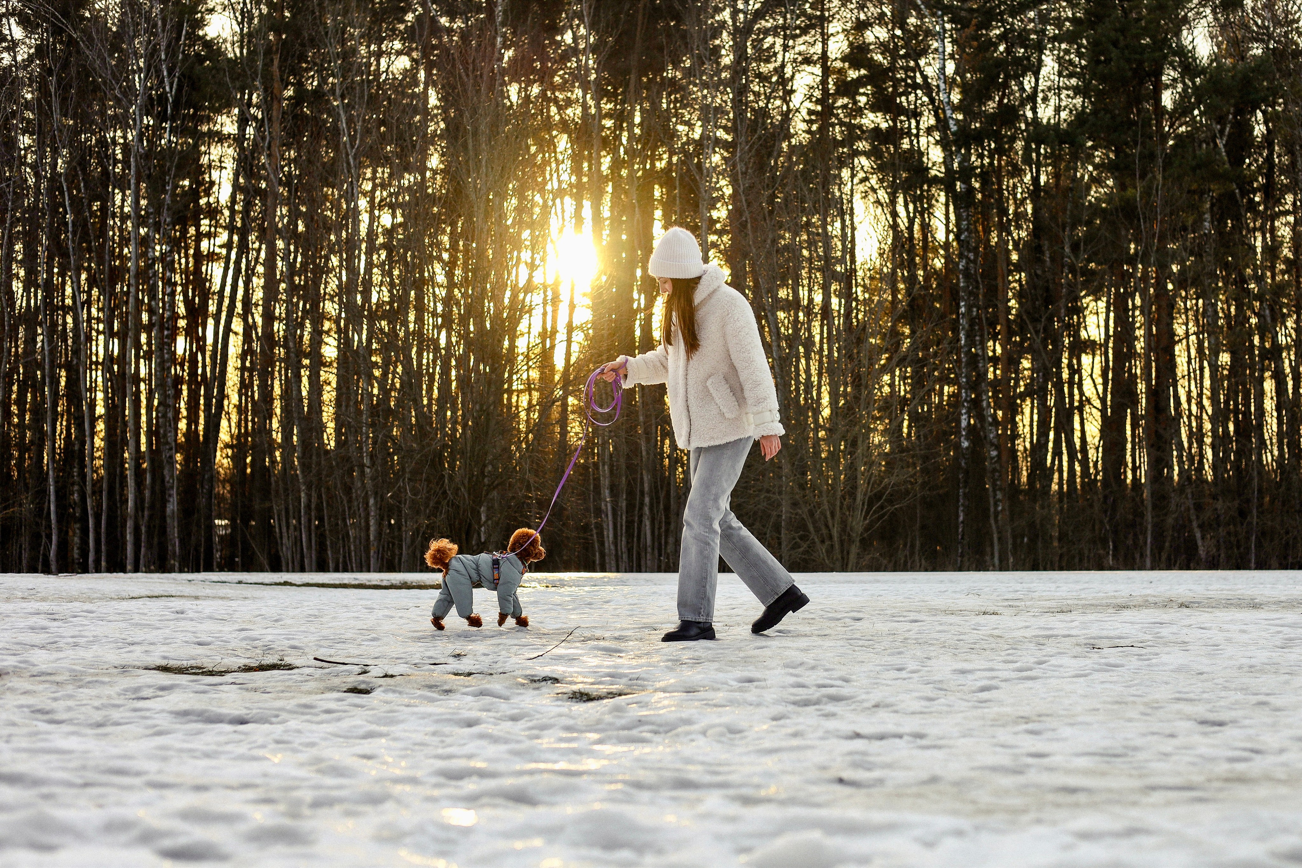 Филипп и Настя. Фотограф-анималист Ксения Шевцова|Москва