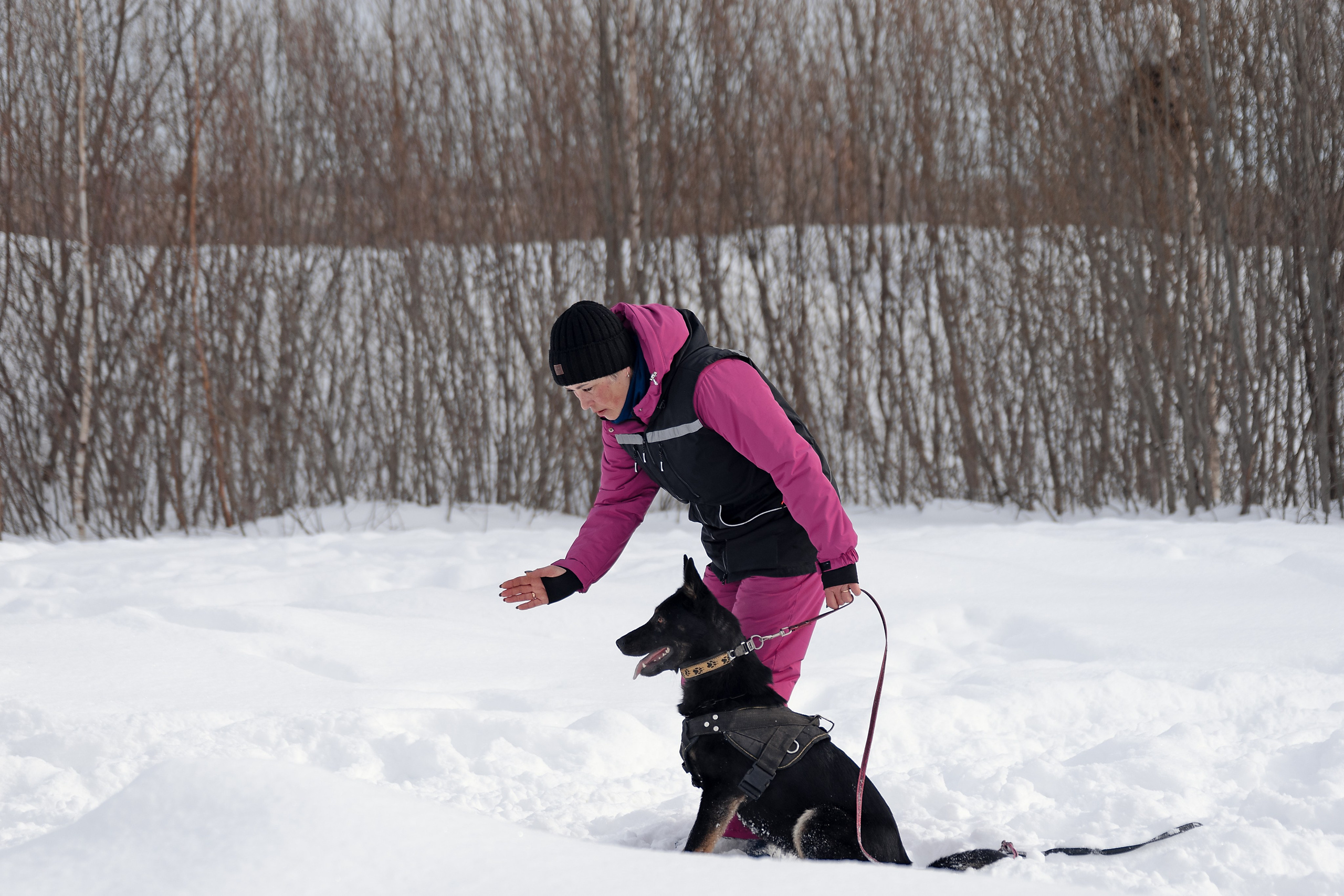 Репортажная съемка. Фотограф-анималист Нижний Новгород