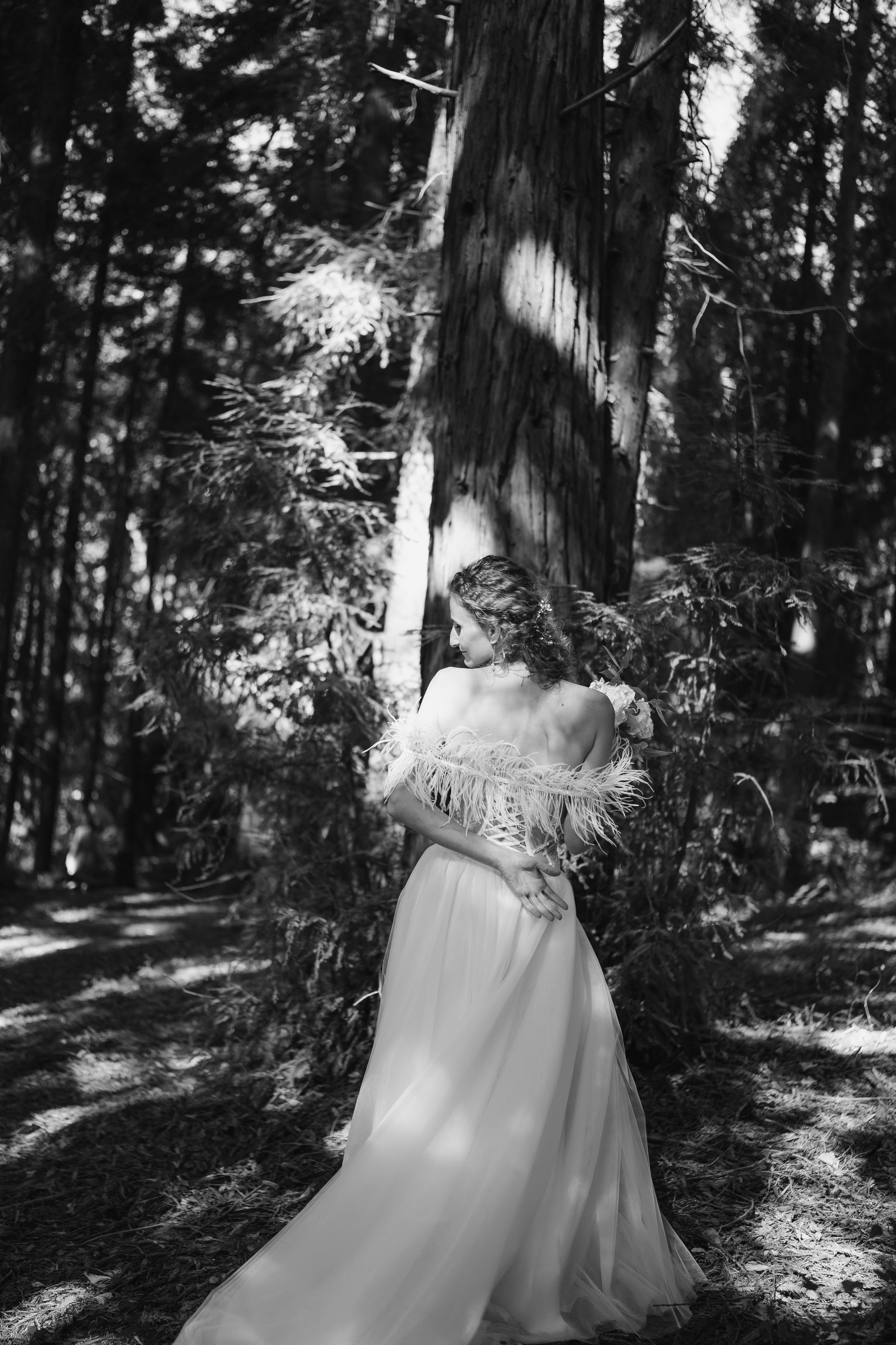 Свадьба Дмитрия и Алёны. Главная