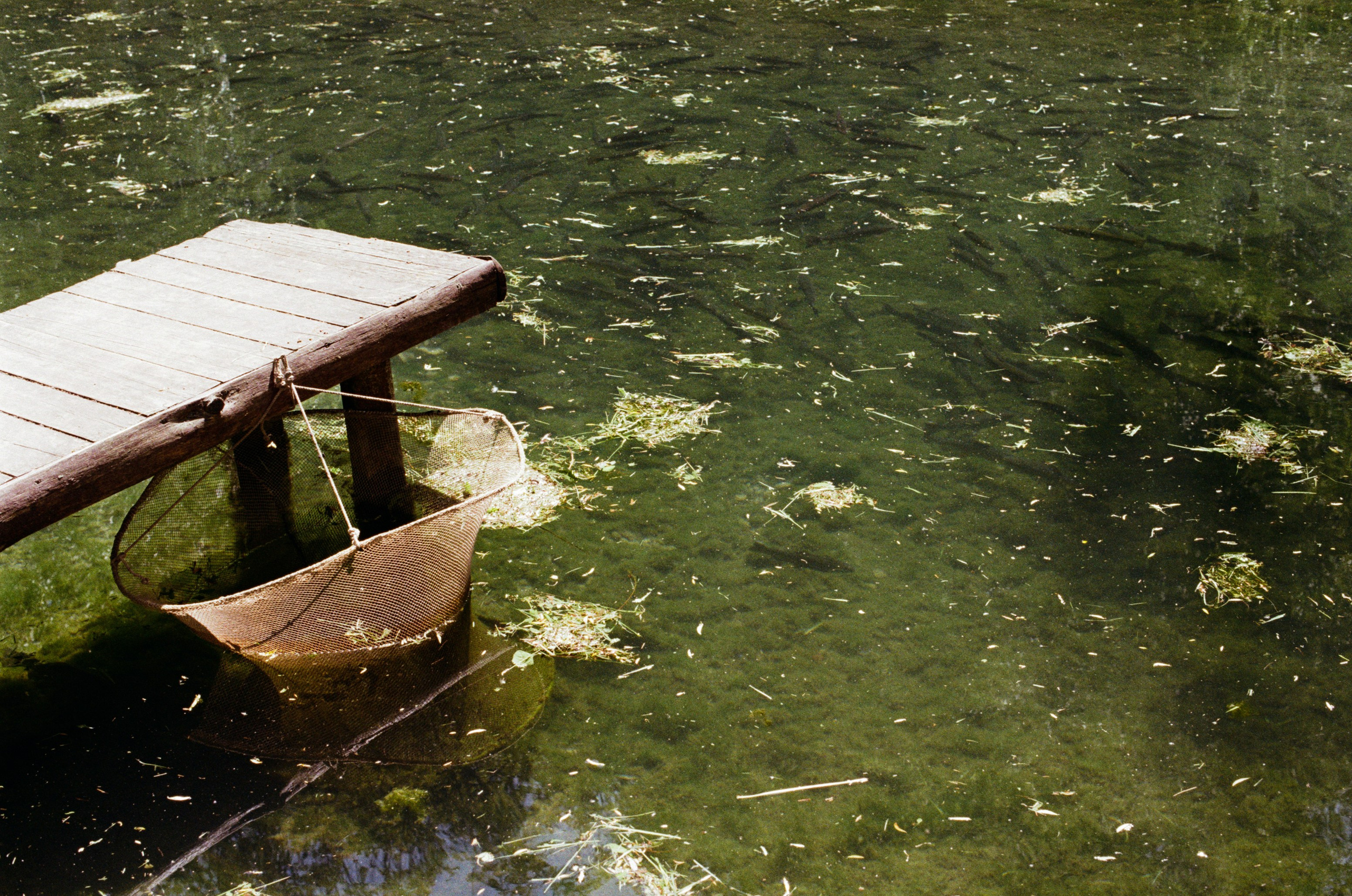 Point of no reply // ukraine, crimea. EVER EXPOSED