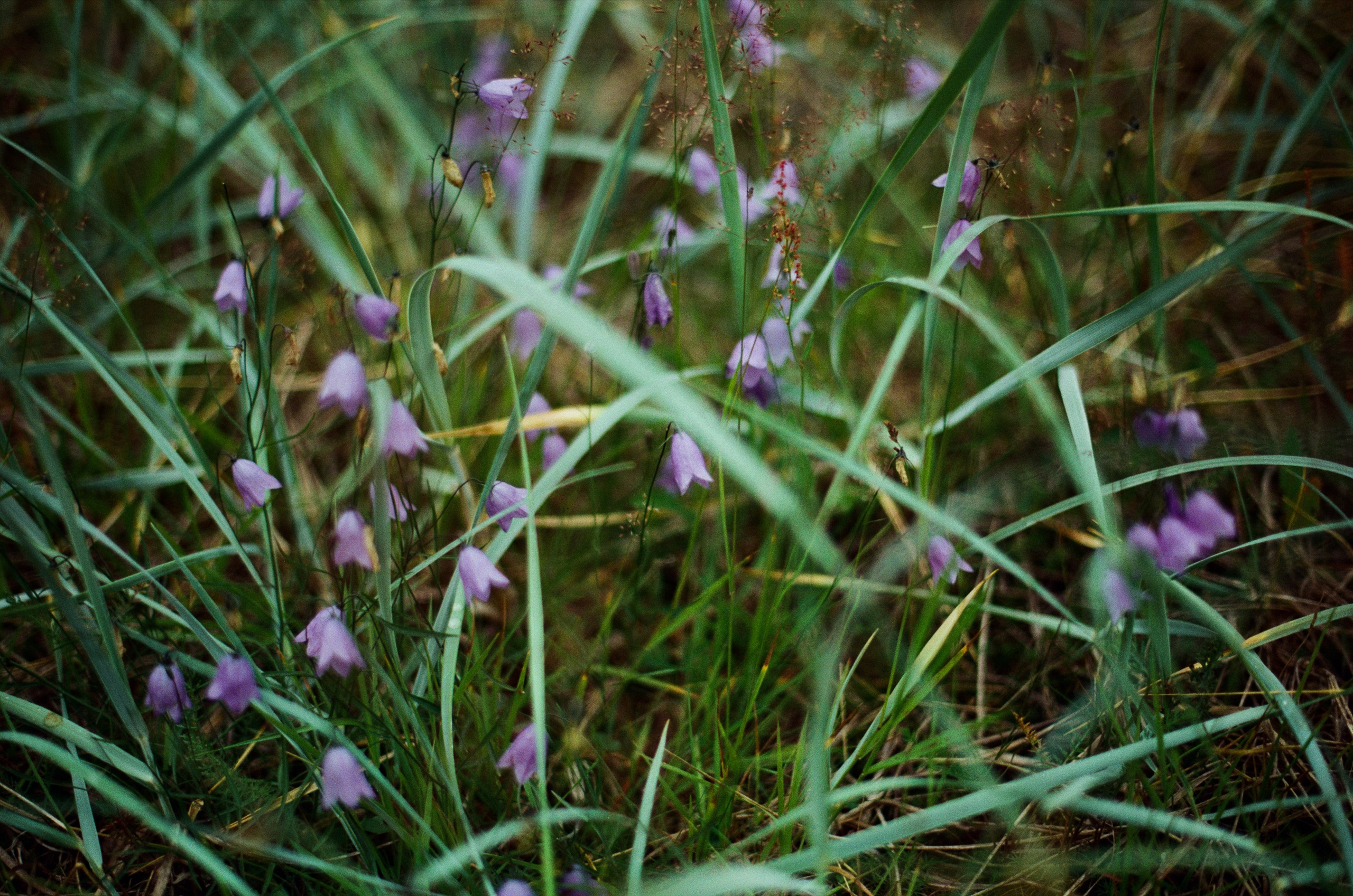 High and dry // teriberka. EVER EXPOSED