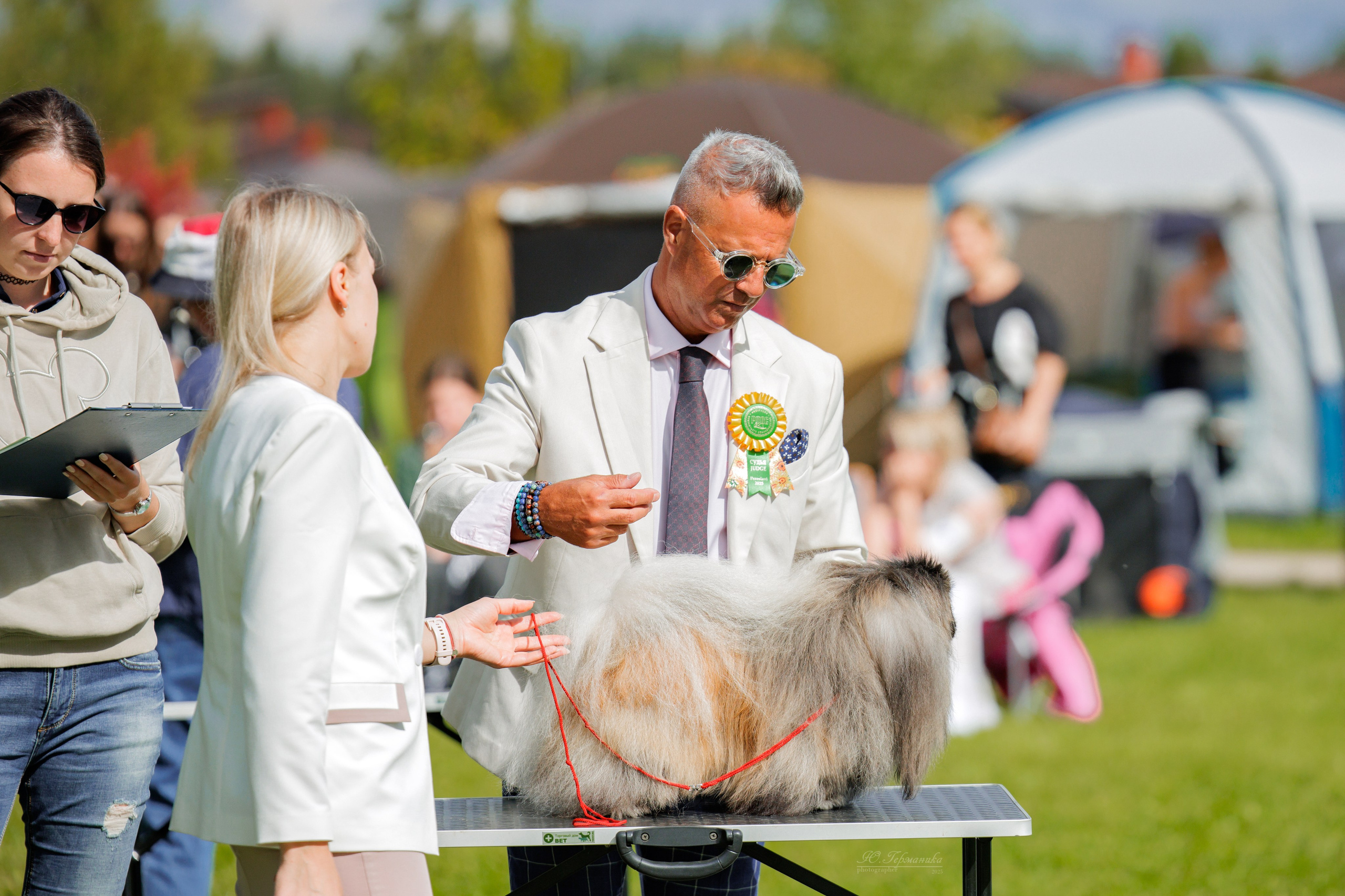Переславль 5-7.08.2025. Фотограф-анималист Юлия Германика