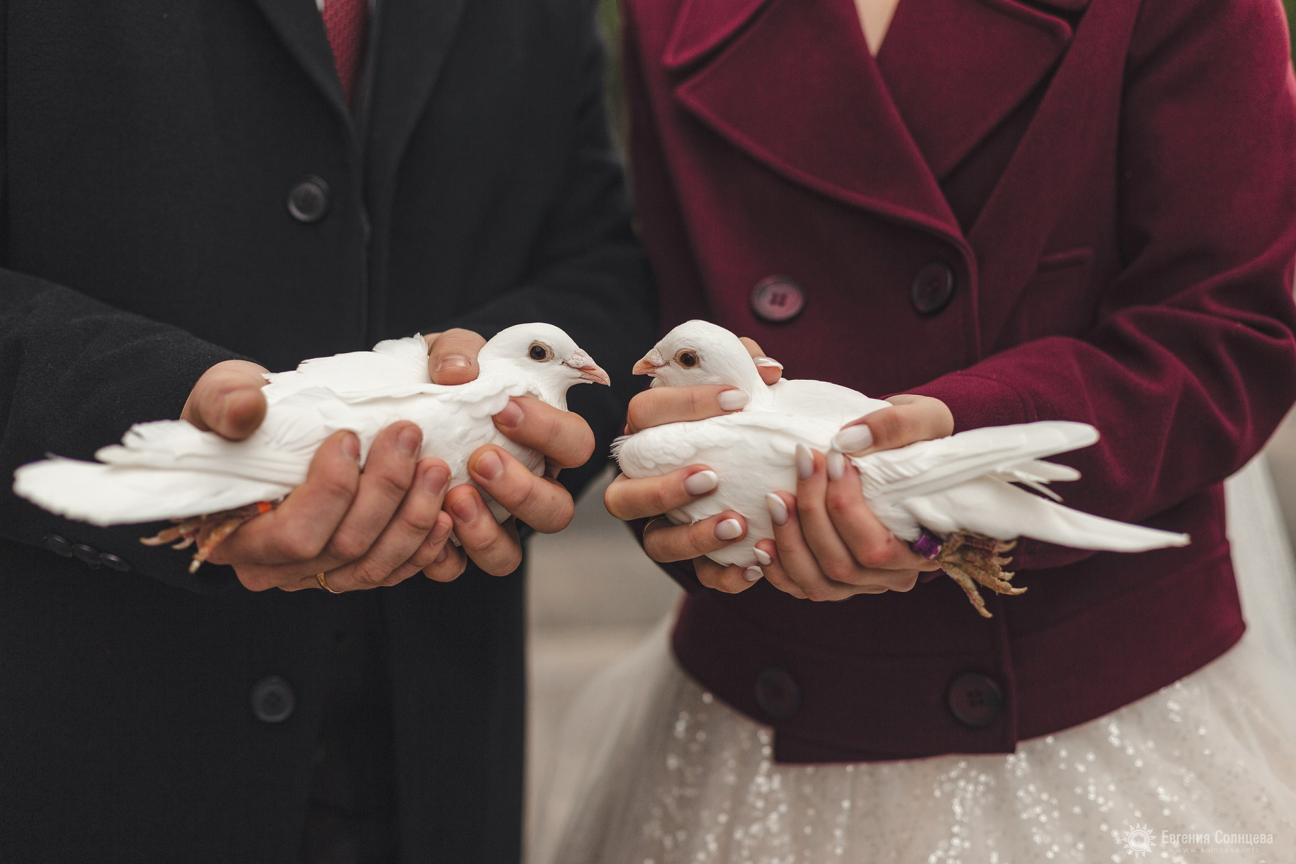 Виктория и Максим. Фотограф в Санкт-Петербурге, — Евгения Солнцева