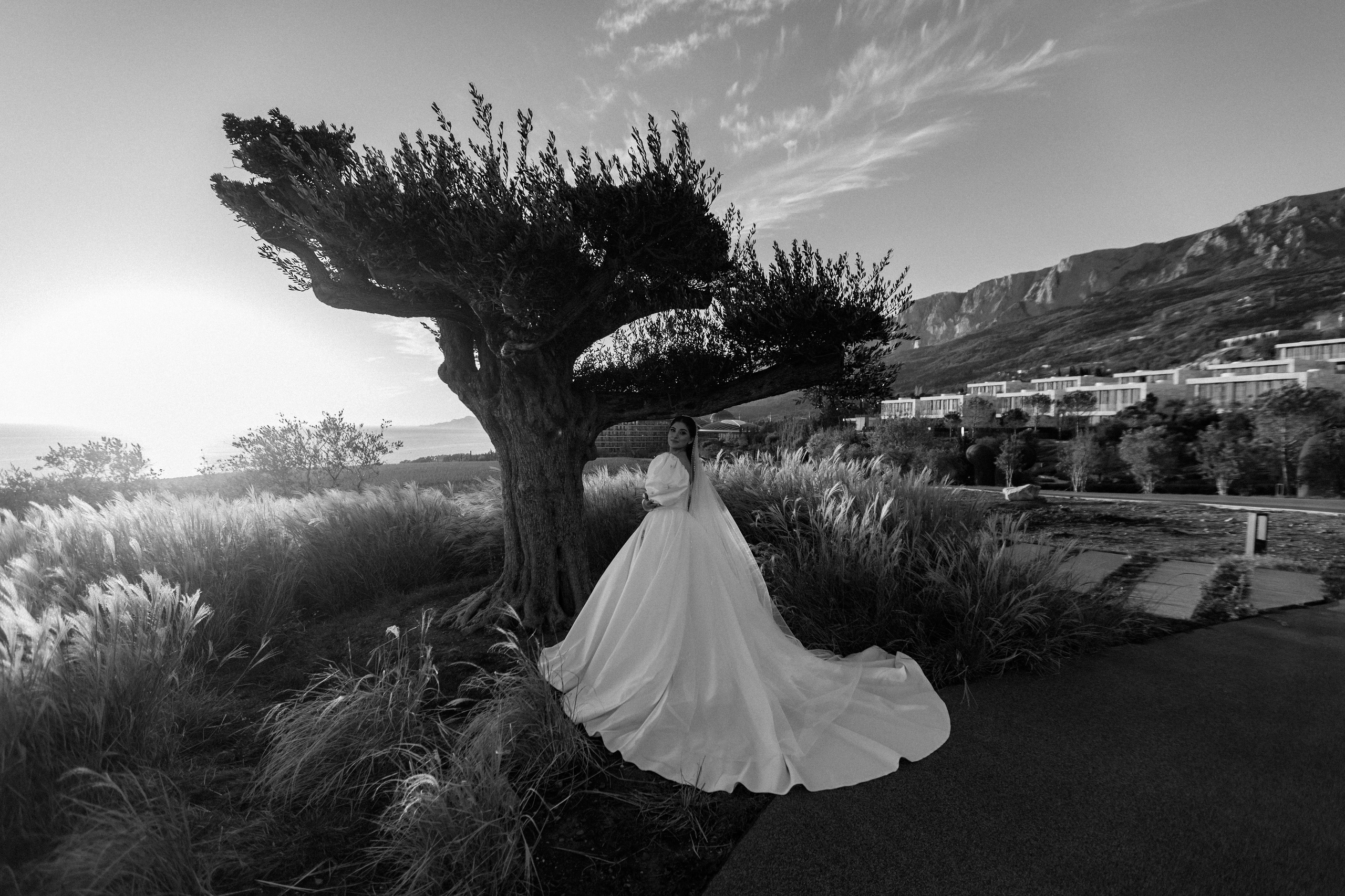 Микаэл и Шушана — Анонс свадьбы. Свадебный фотограф, фотосъемка в Крыму, Севастополе, Симферополе, Ялте