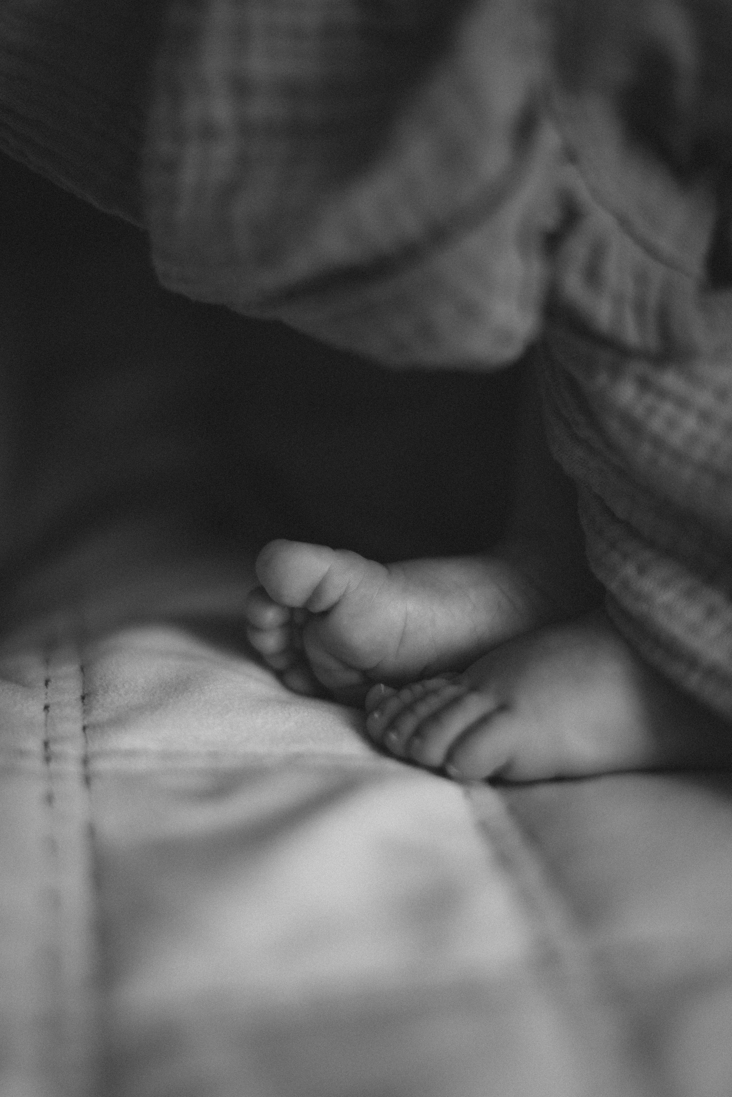 Филалла и Теона. Семейный фотограф в г. Ставрополь, Сорокина Мария