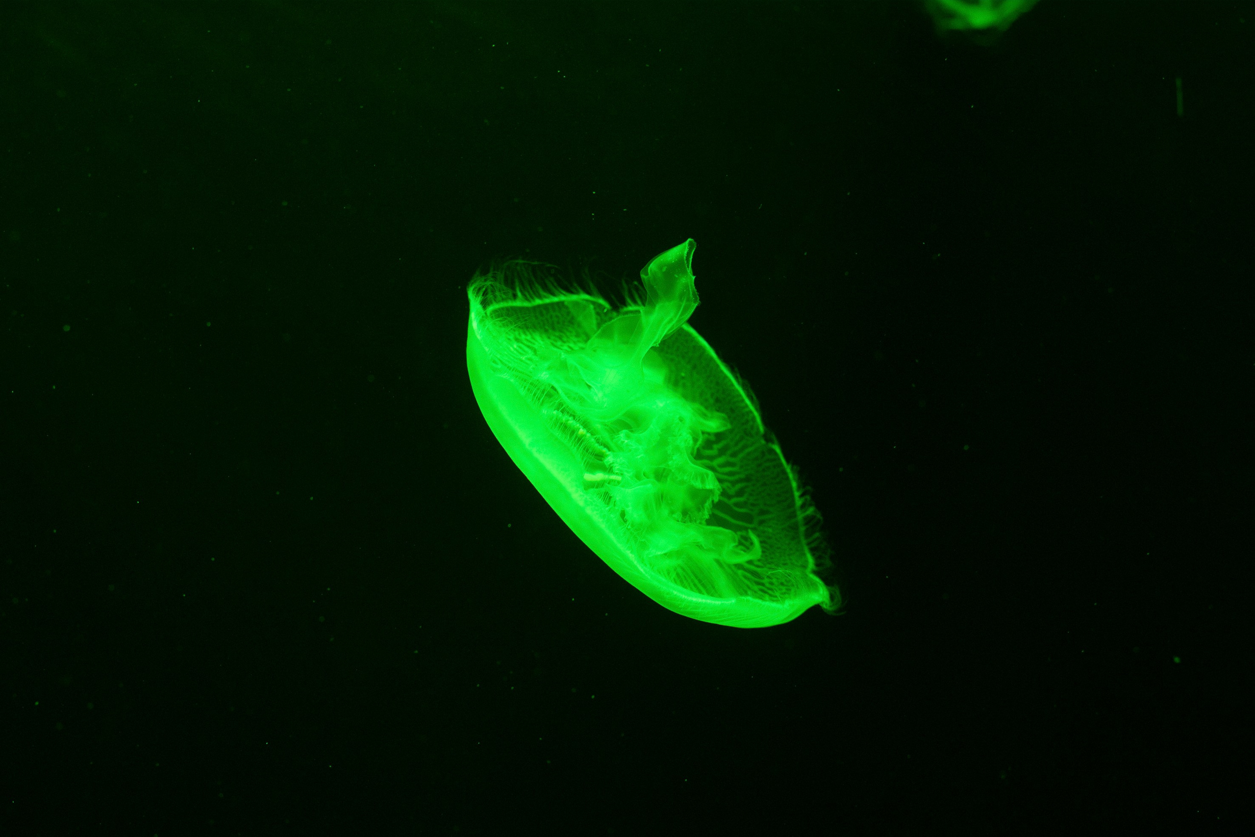 Абстракция. Команда фотографов Кристины Ивановой