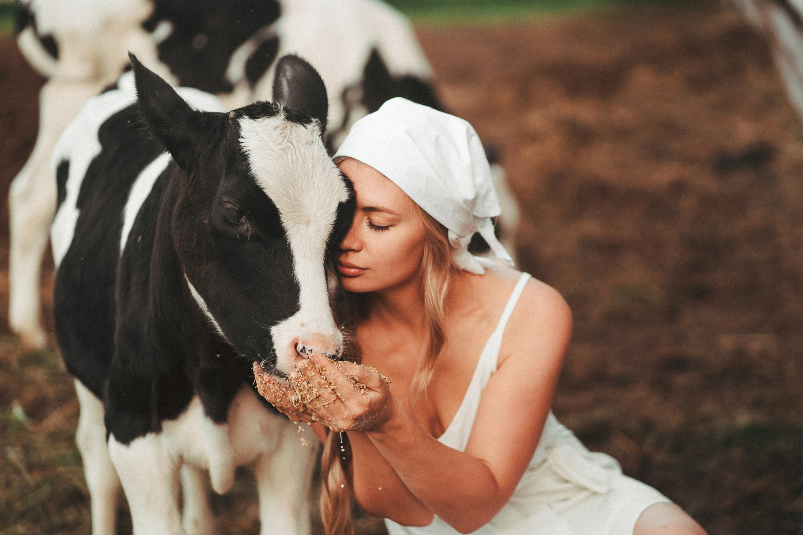 Художественные. Главная