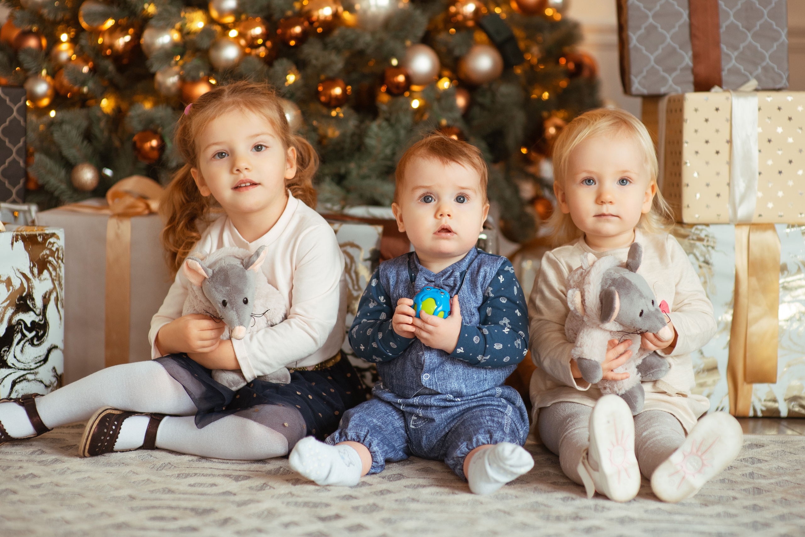 Фотограф Алла Елисеева