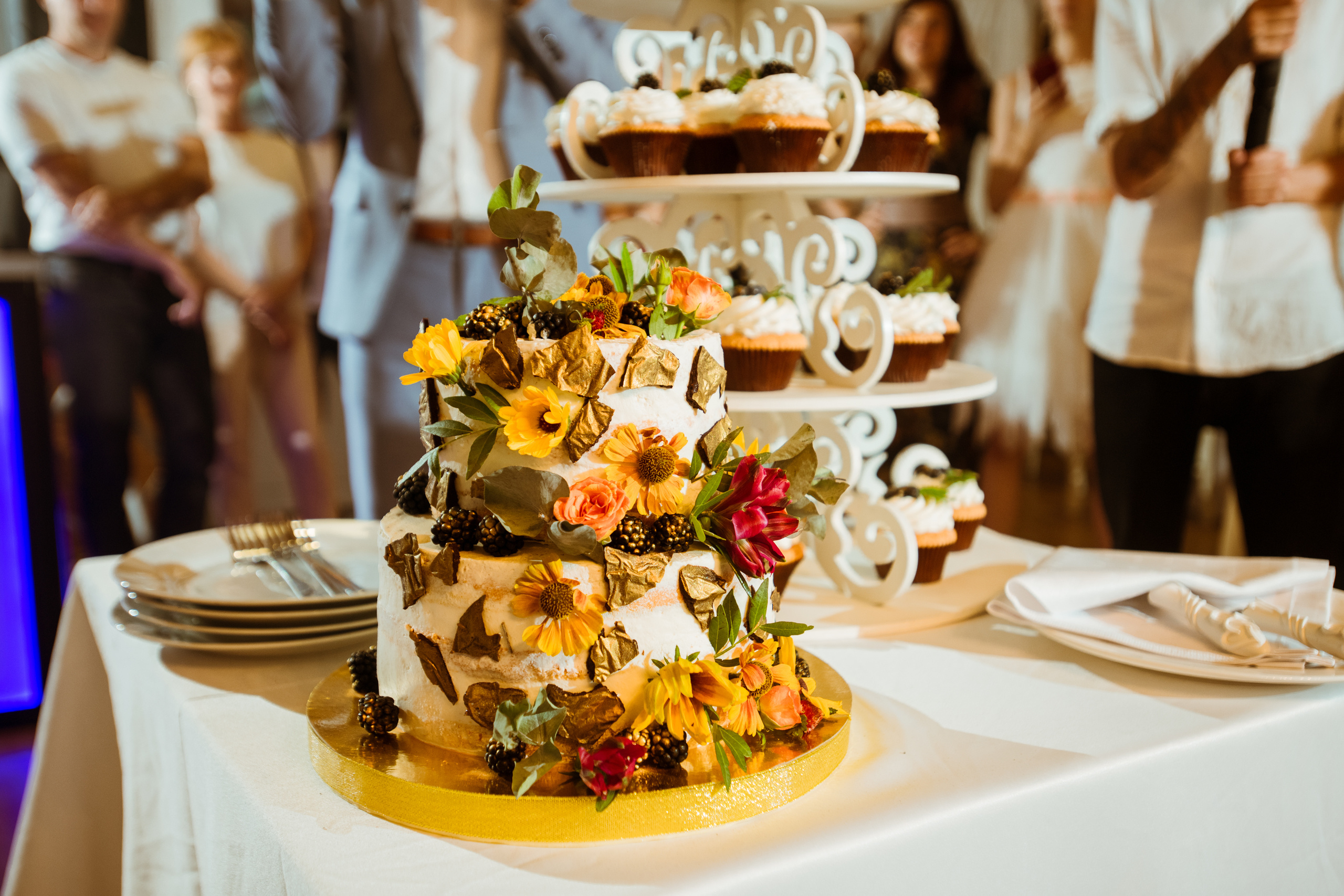 Фотограф на свадьбу. Фотограф Алла Елисеева