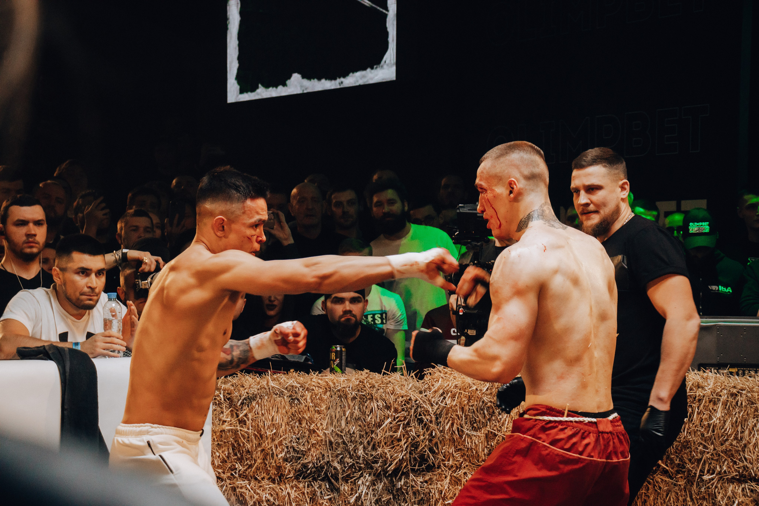 Кулачные бои TopDog. Анастасия Тен