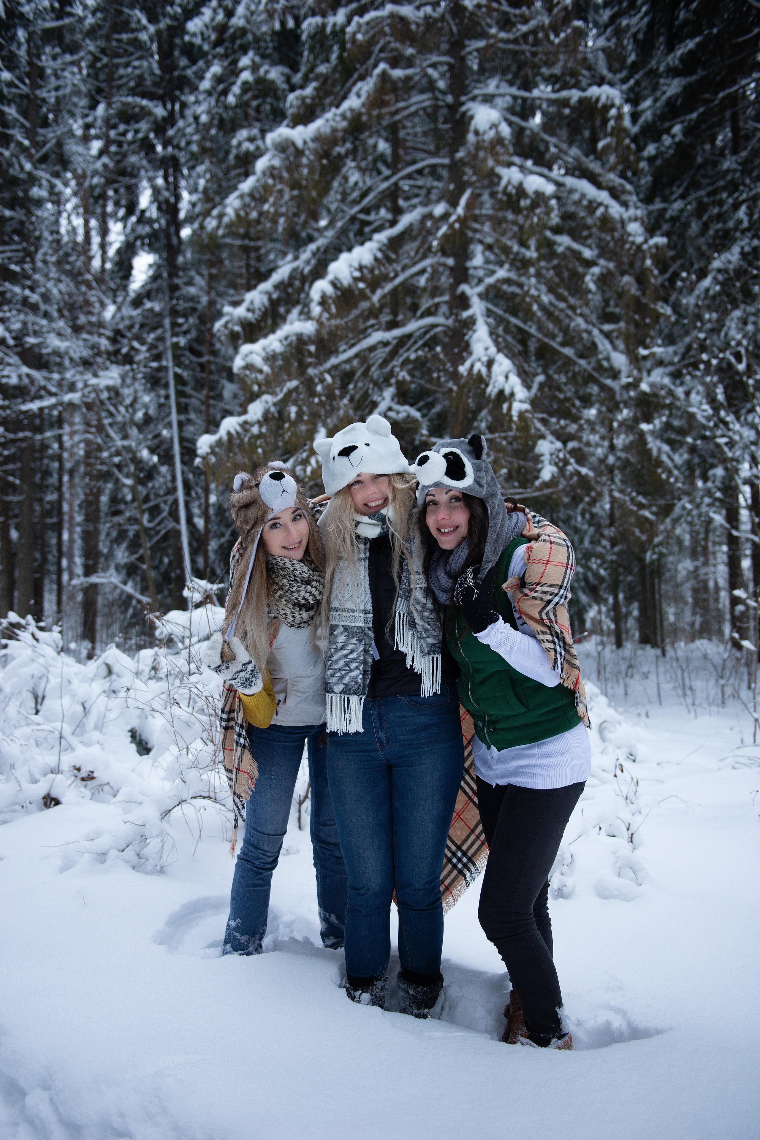 Зимний лес прекрасен. Творческий фотограф Вологда