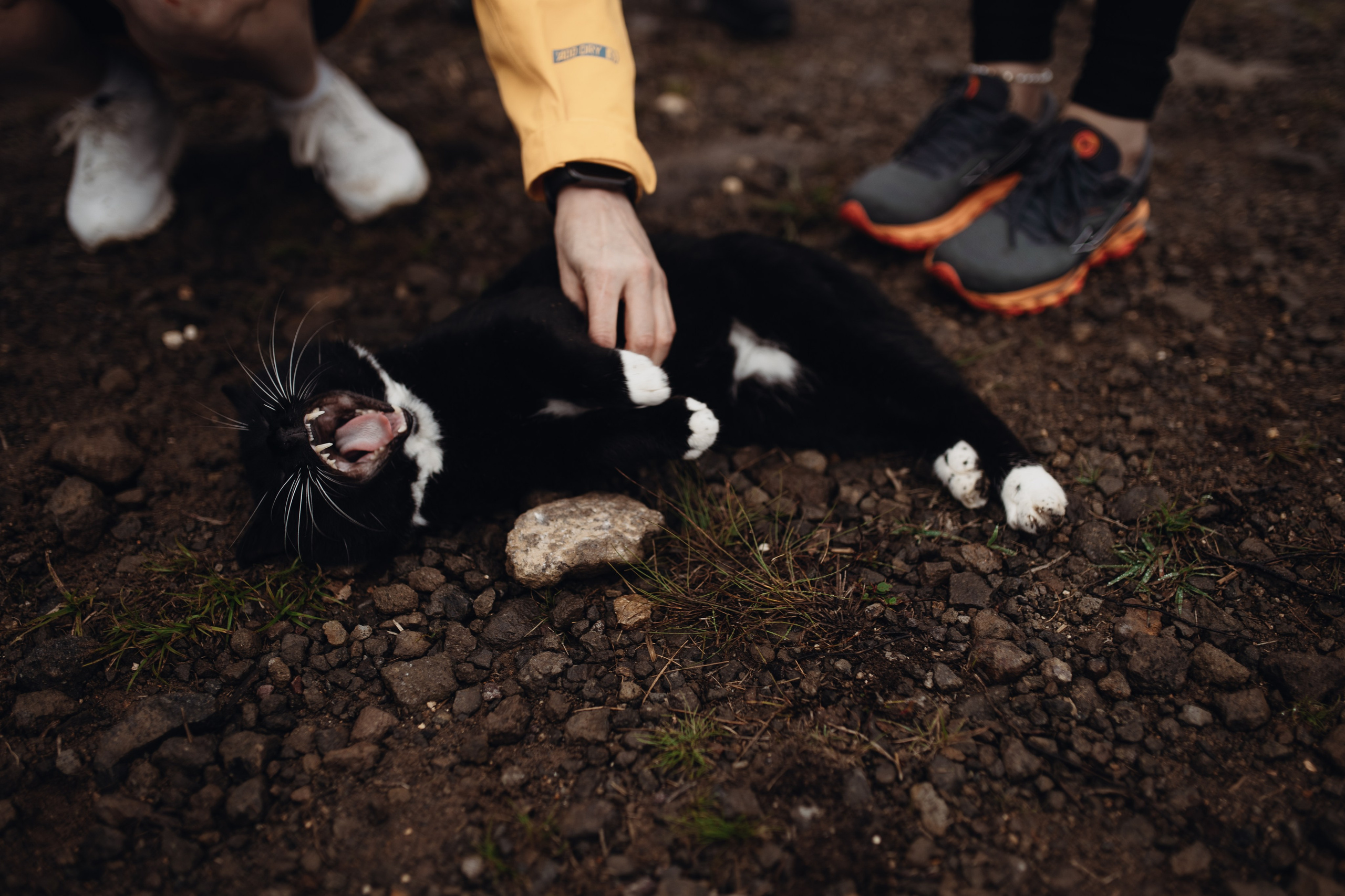 Авторский тур «Оля, куда завтра?!» 2024. Фотограф Итуруп | Курильские острова