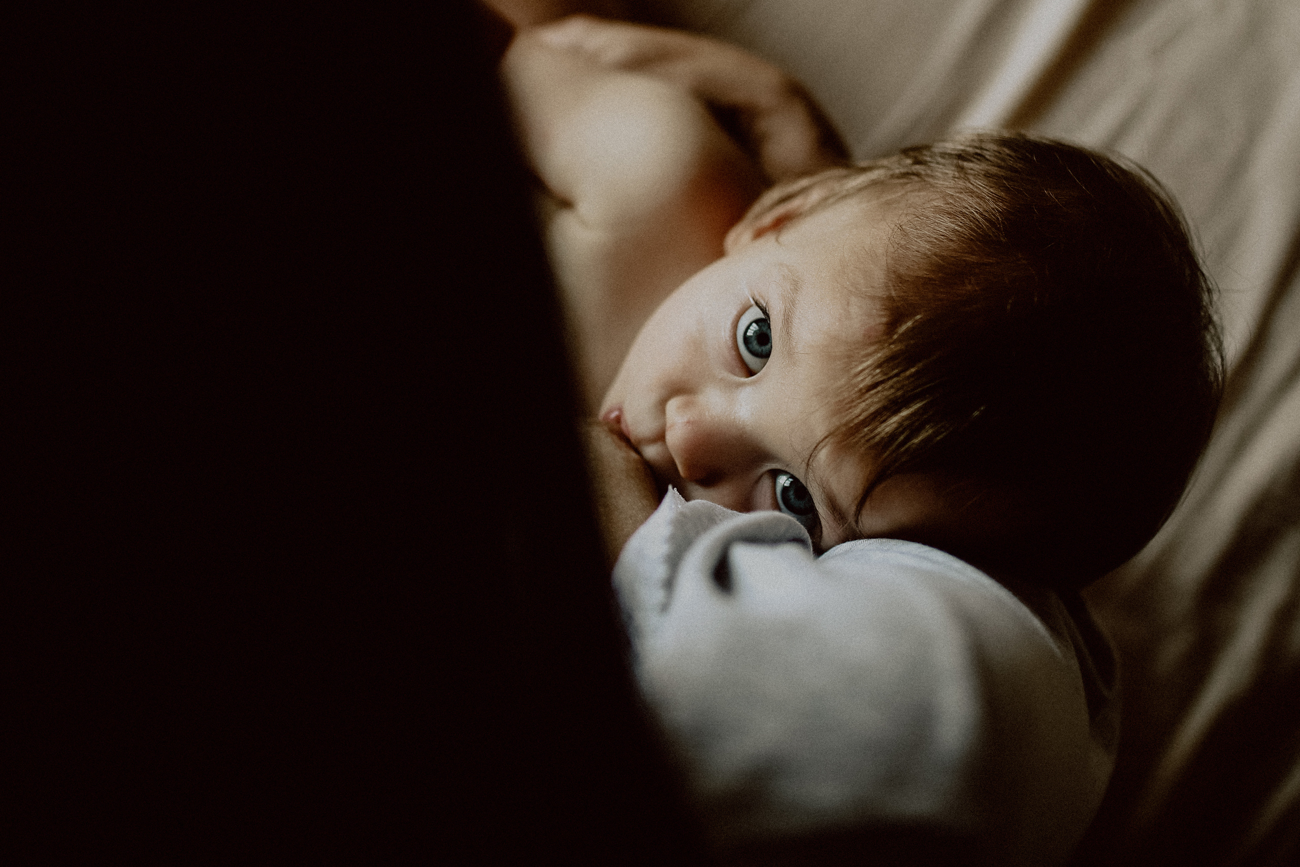 Оля, Миша, Женя. Семейный, детский фотограф, видеограф. Город Владивосток Рубцова Юлия