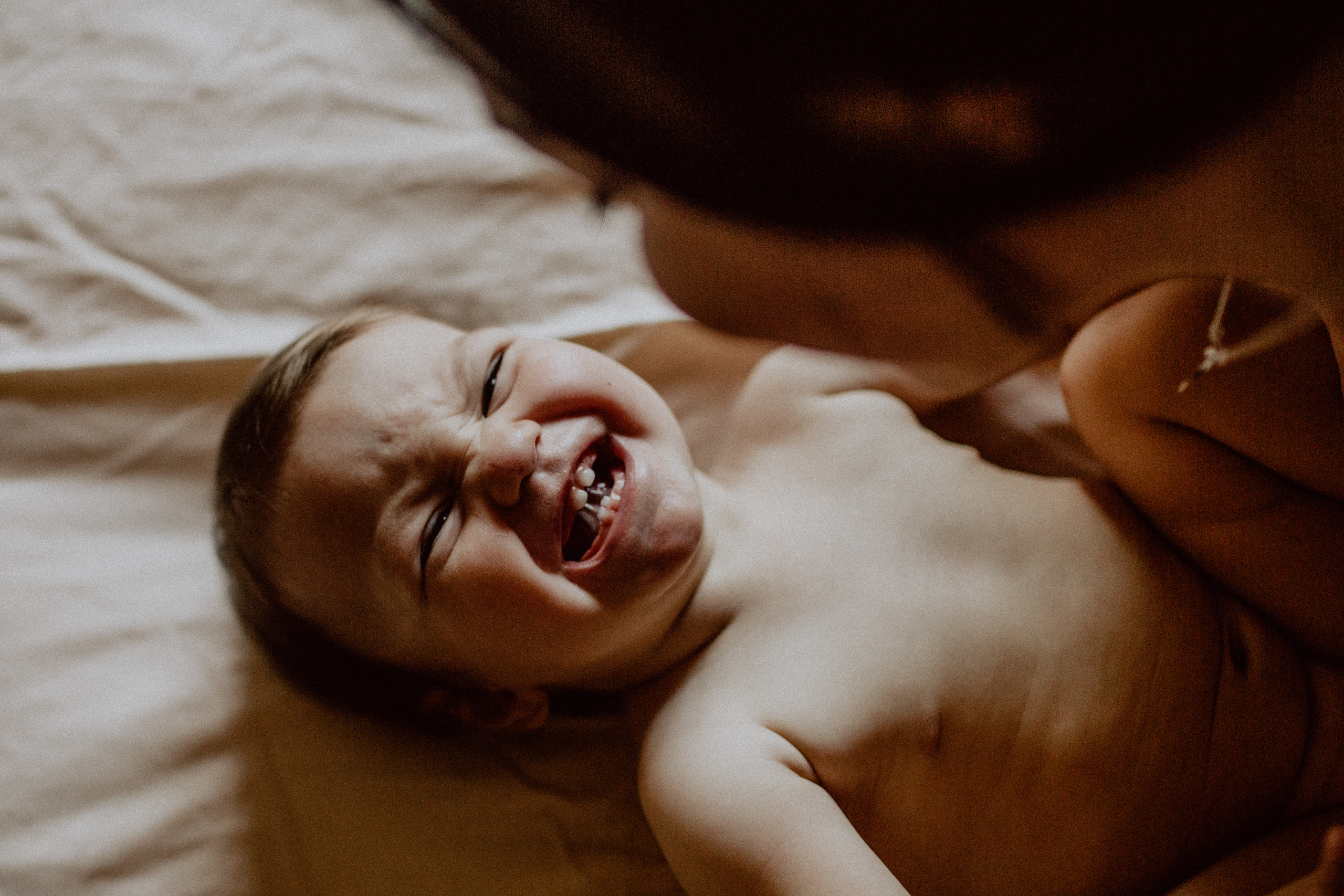 Оля, Миша, Женя. Семейный, детский фотограф, видеограф. Город Владивосток Рубцова Юлия