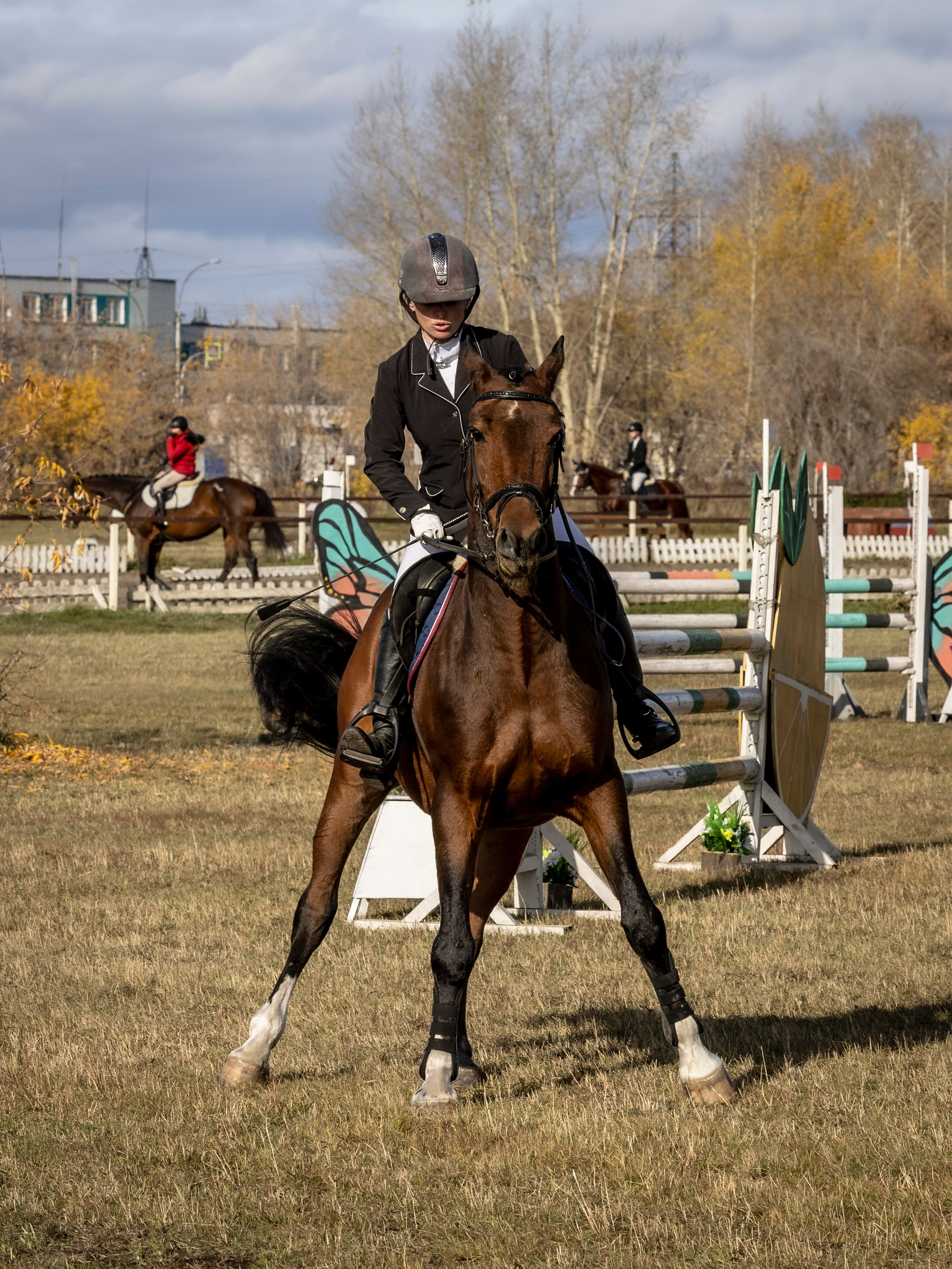 Конкур. Bertran Ordo