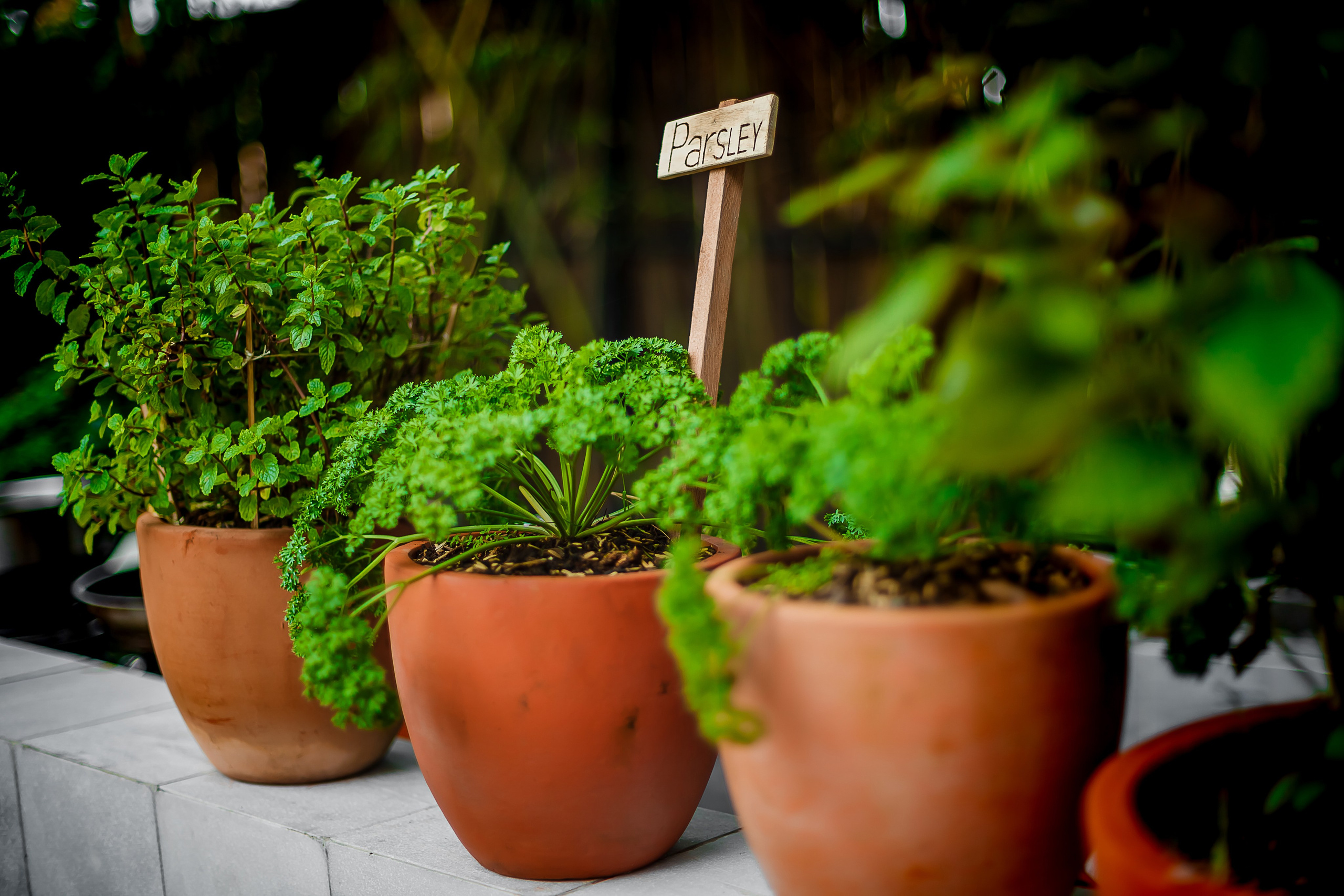Репортажный фотограф Ялта. Репортажный фотограф Ялта