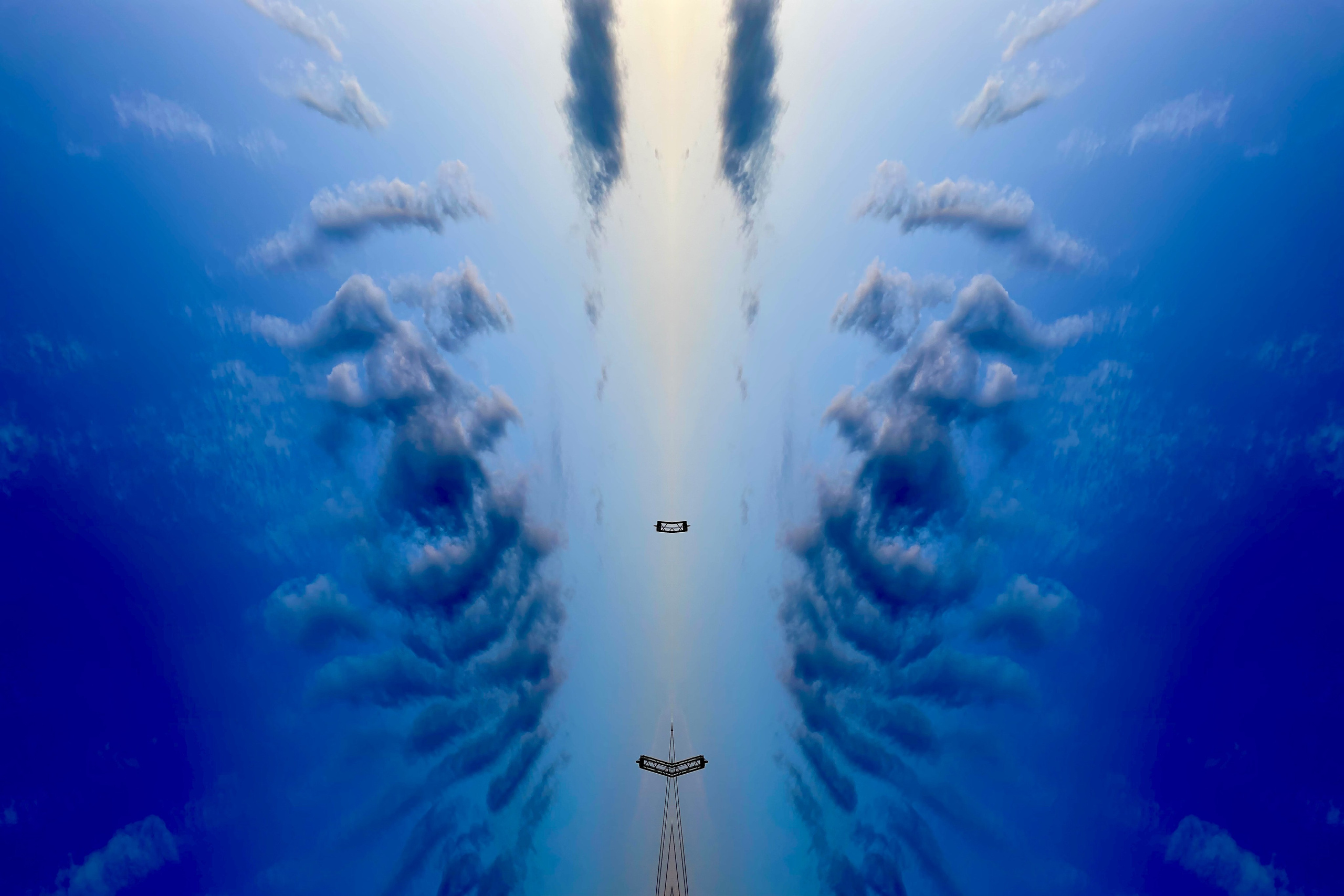 Urban flowers. Арт — фотограф Евгений Наймушин Новокузнецк