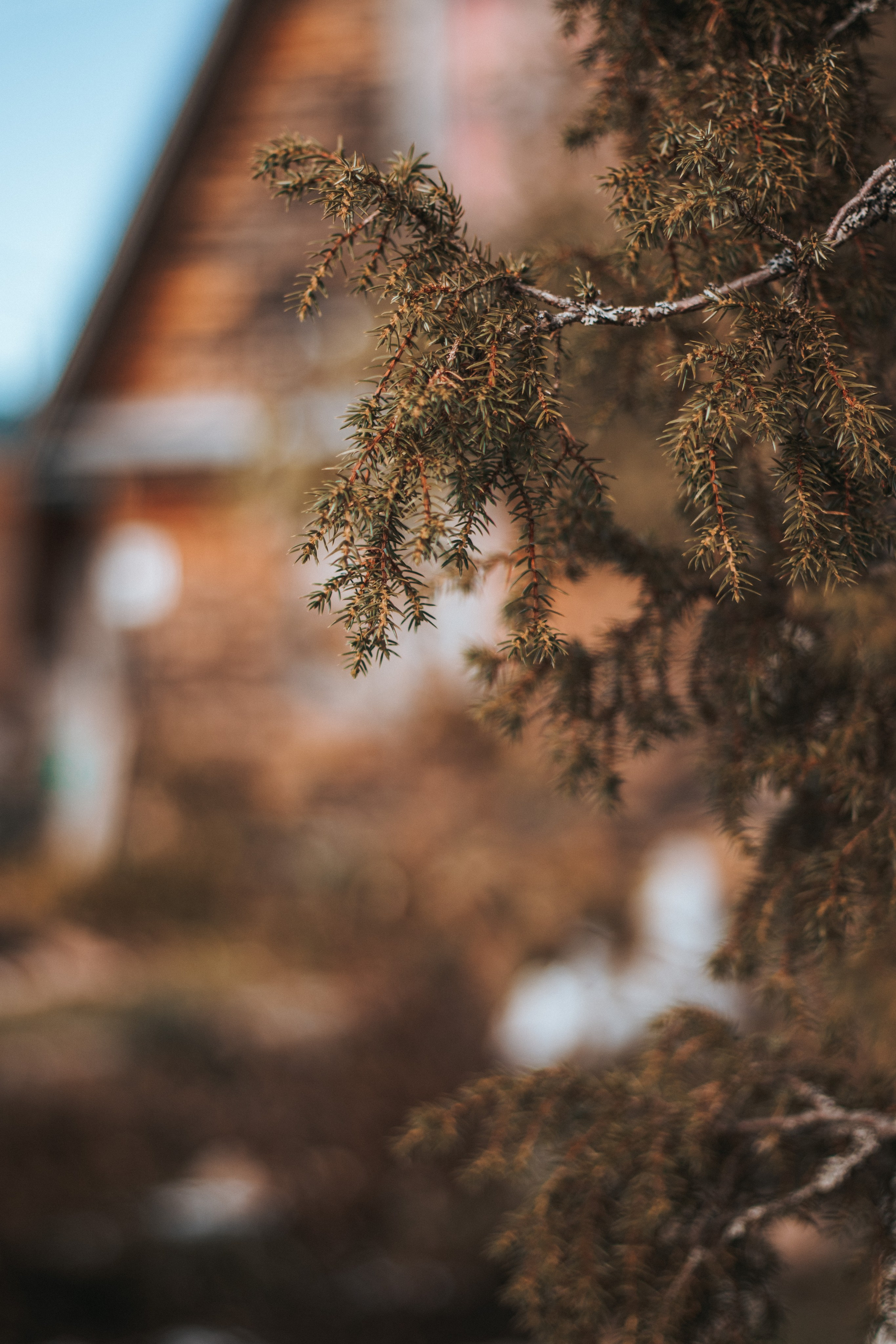 Природа. Руслана Селиванова семейный, портретный фотограф в Петрозаводске
