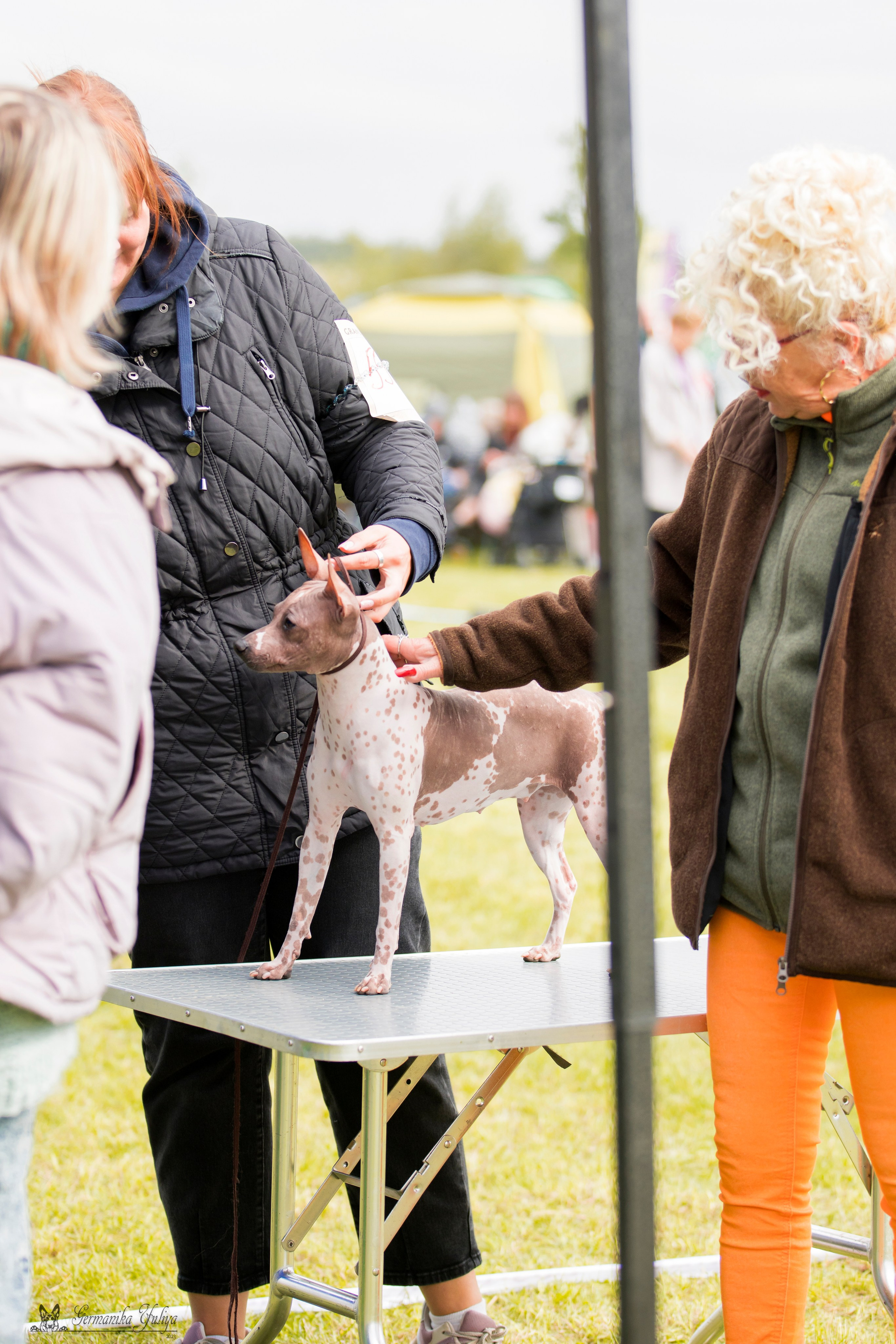 Переславль 9-10.09.2023. Фотограф-анималист Юлия Германика