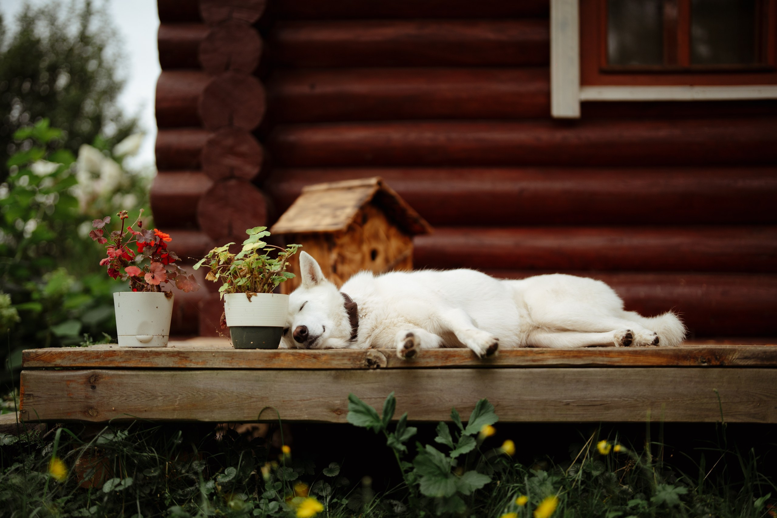 Сюжет № 11|Виктория Алексеенко