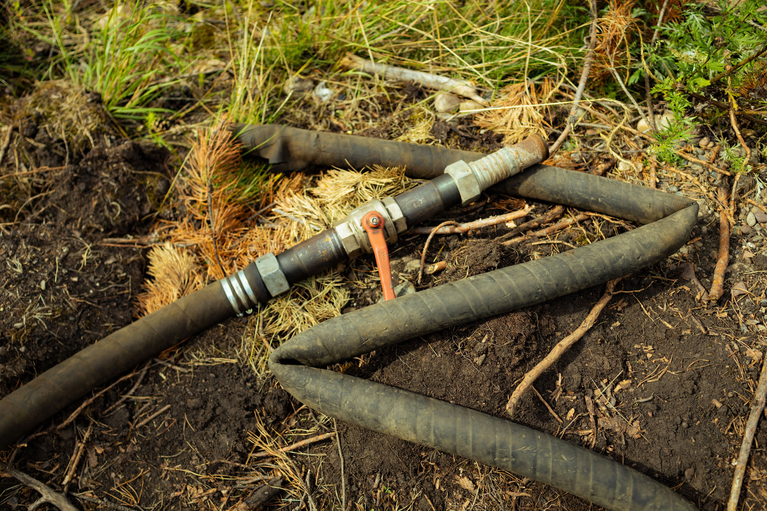 Красноярск (осень 2023). Фотограф Виноградов Константин