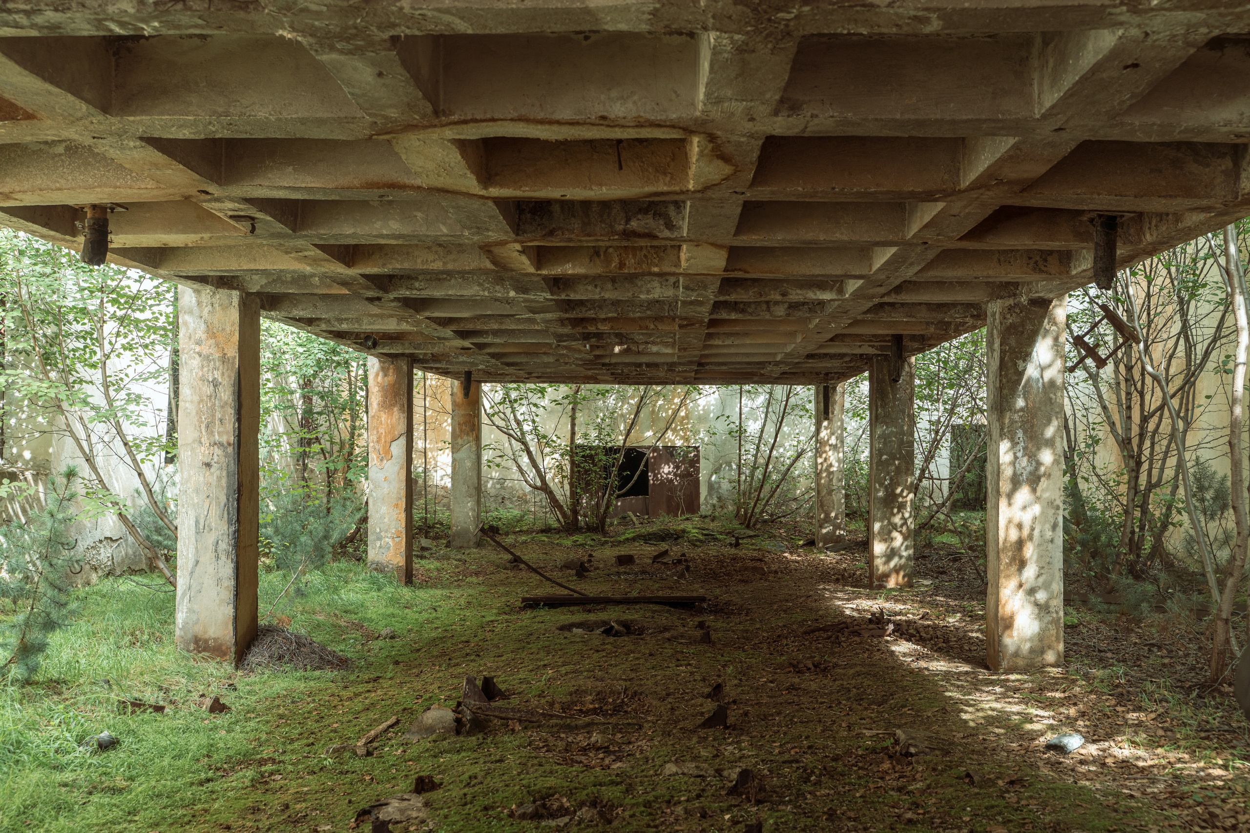 Планета Колыма. Элина Гусарова