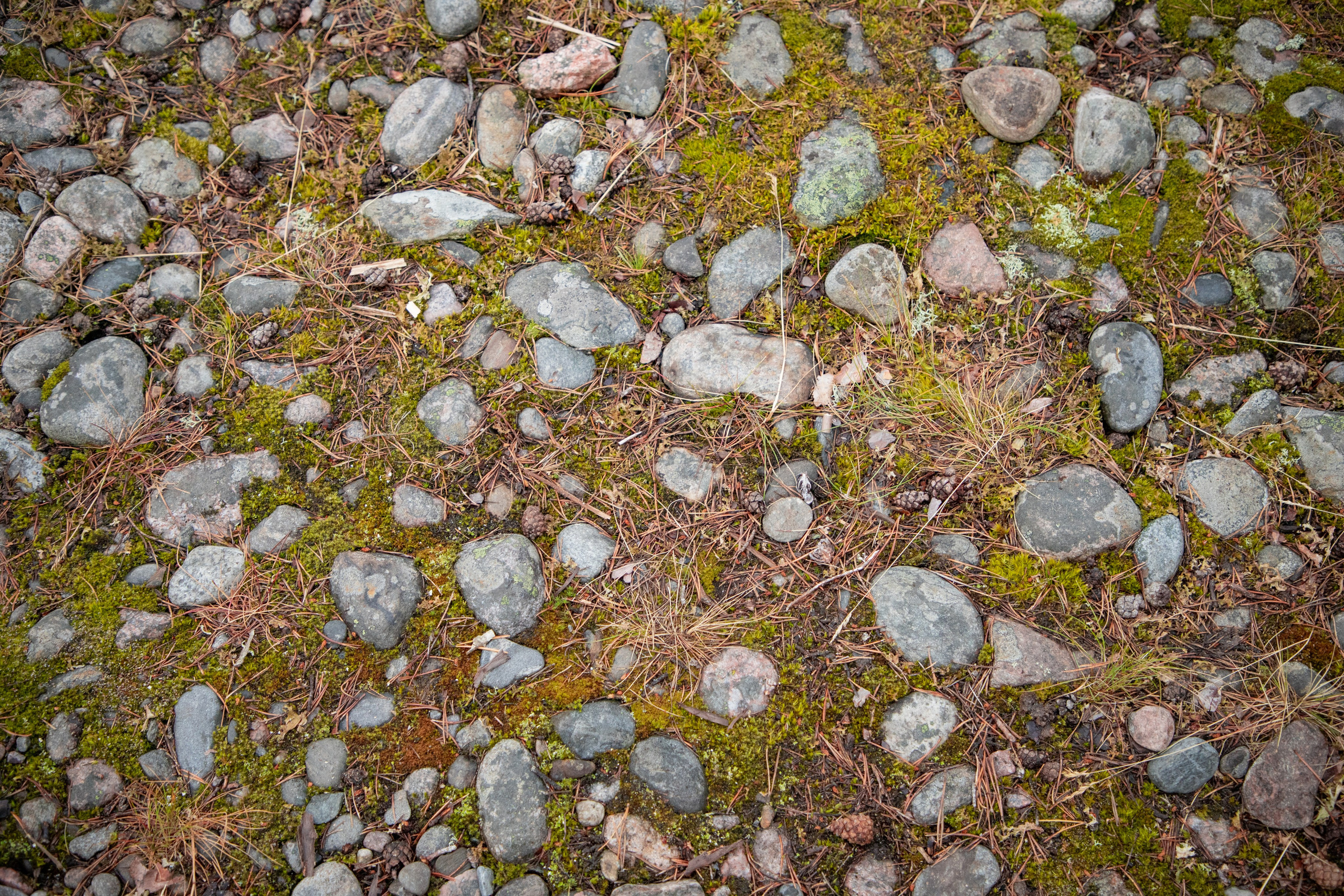 Ладога. Фотограф Алексей Шуля — портфолио