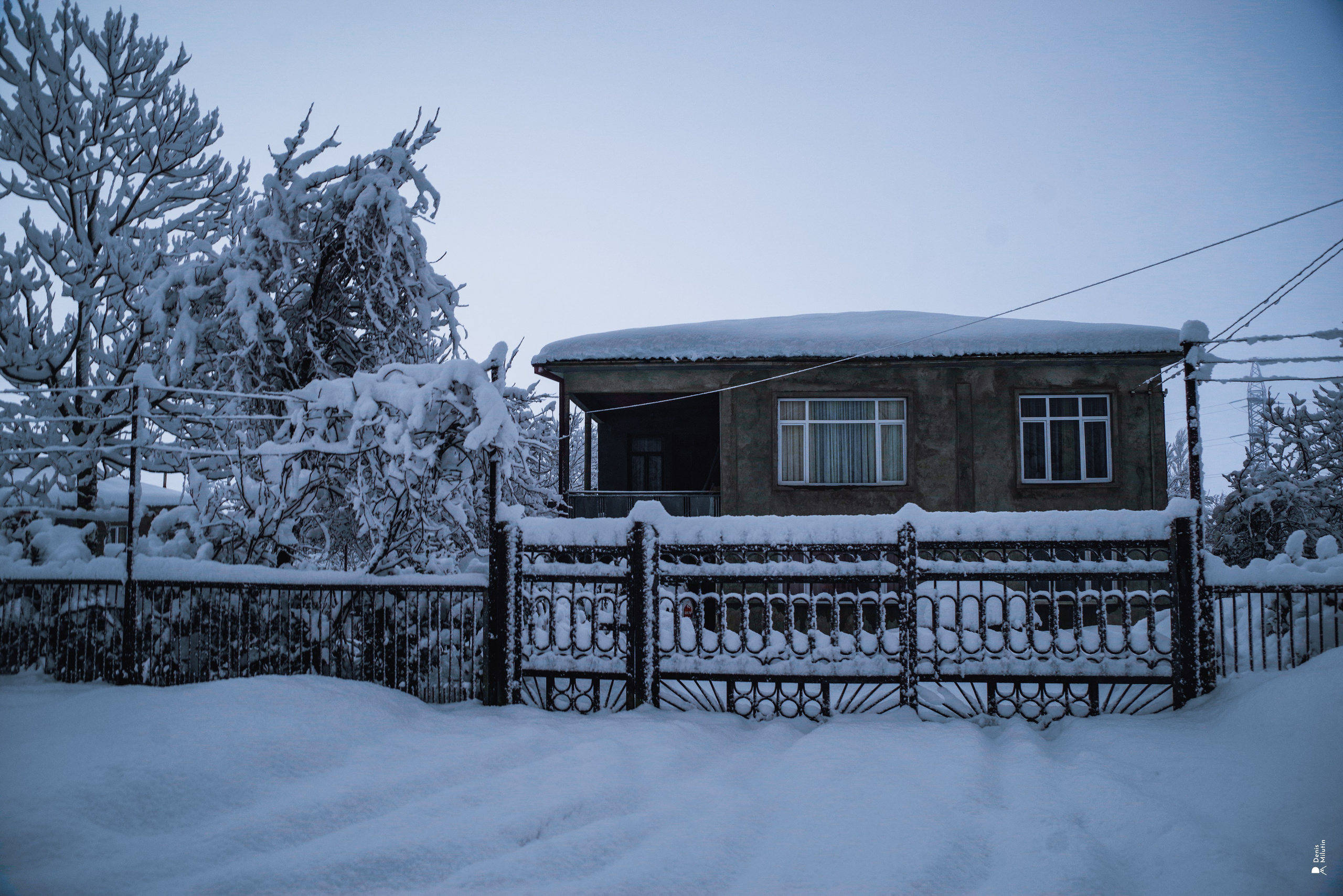 Спящий Менджи зимой. Портретный фотограф Денис Милютин