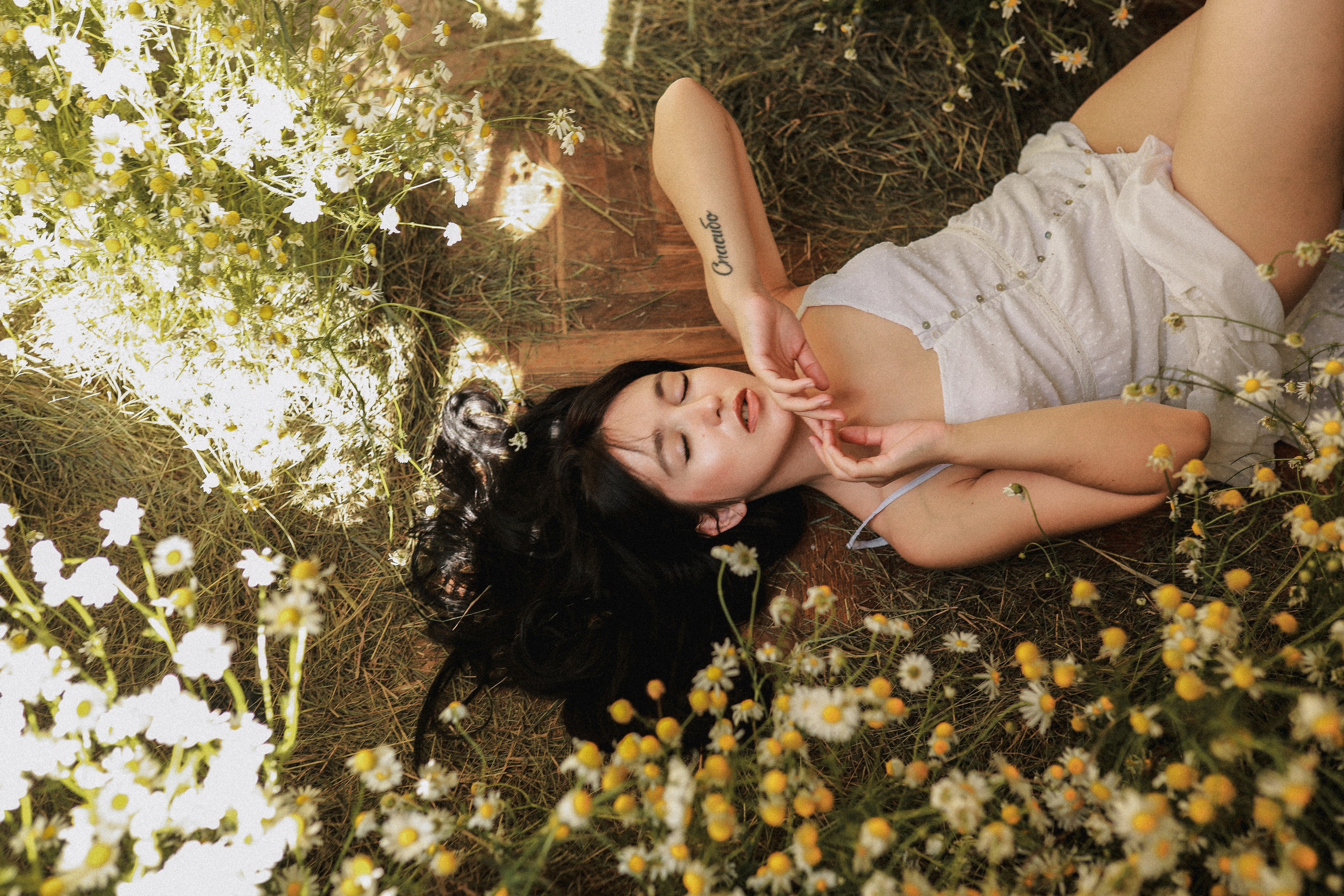 Сон в летнюю ночь | Ромашковое поле