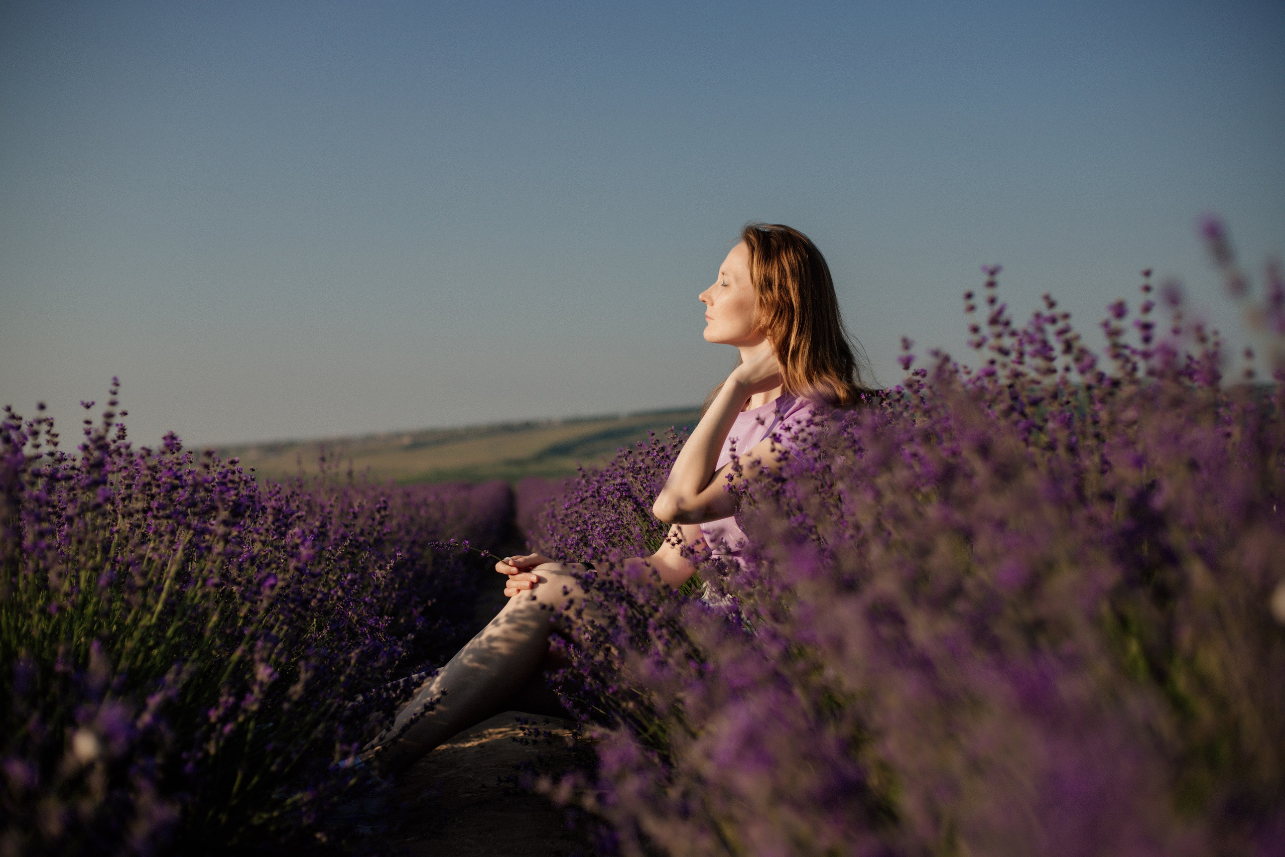 Лаванда. Фотограф и Видеограф Севастополь Крым
