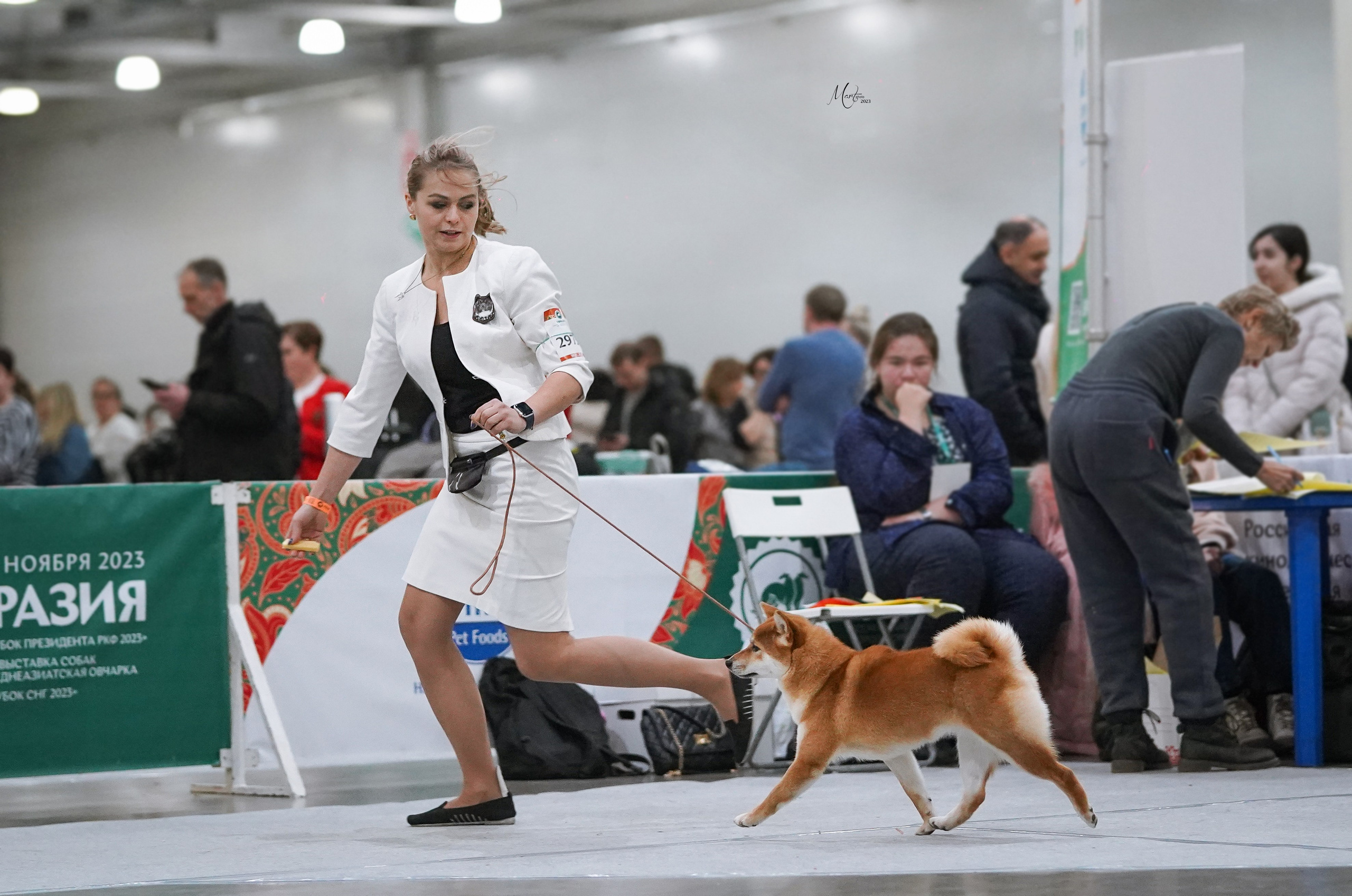 Выставки 2023. Фотограф-анималист в Санкт-Петербурге Яна Мартынова