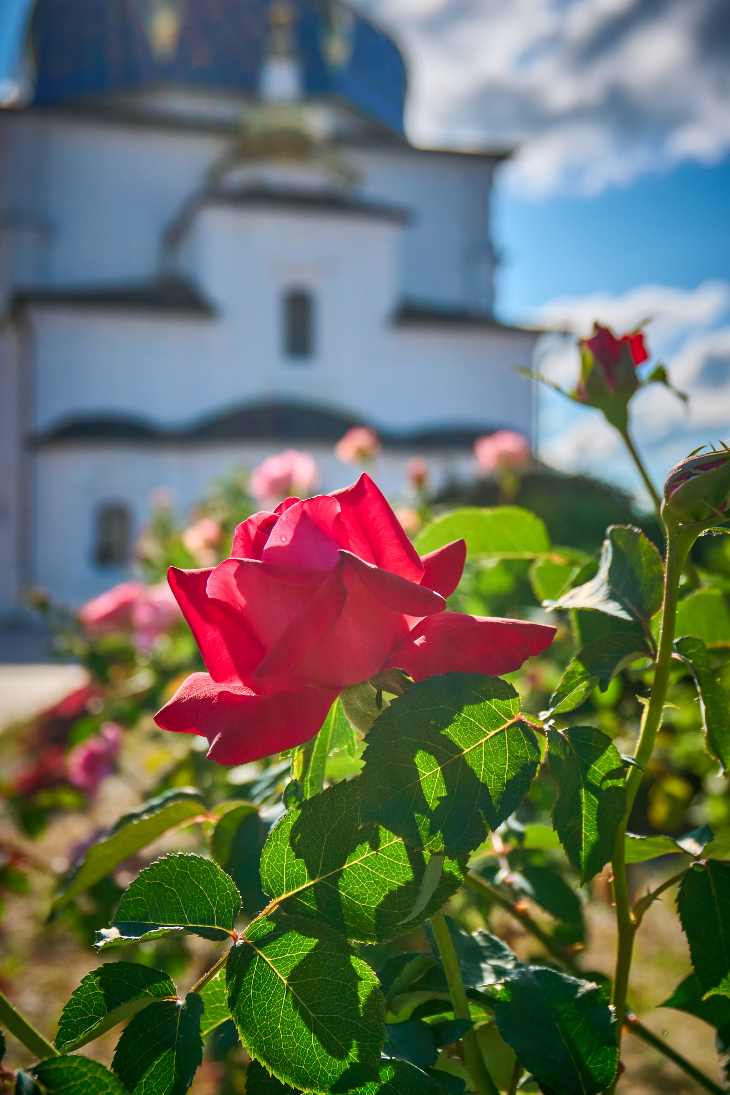 Репортаж/Портреты. …