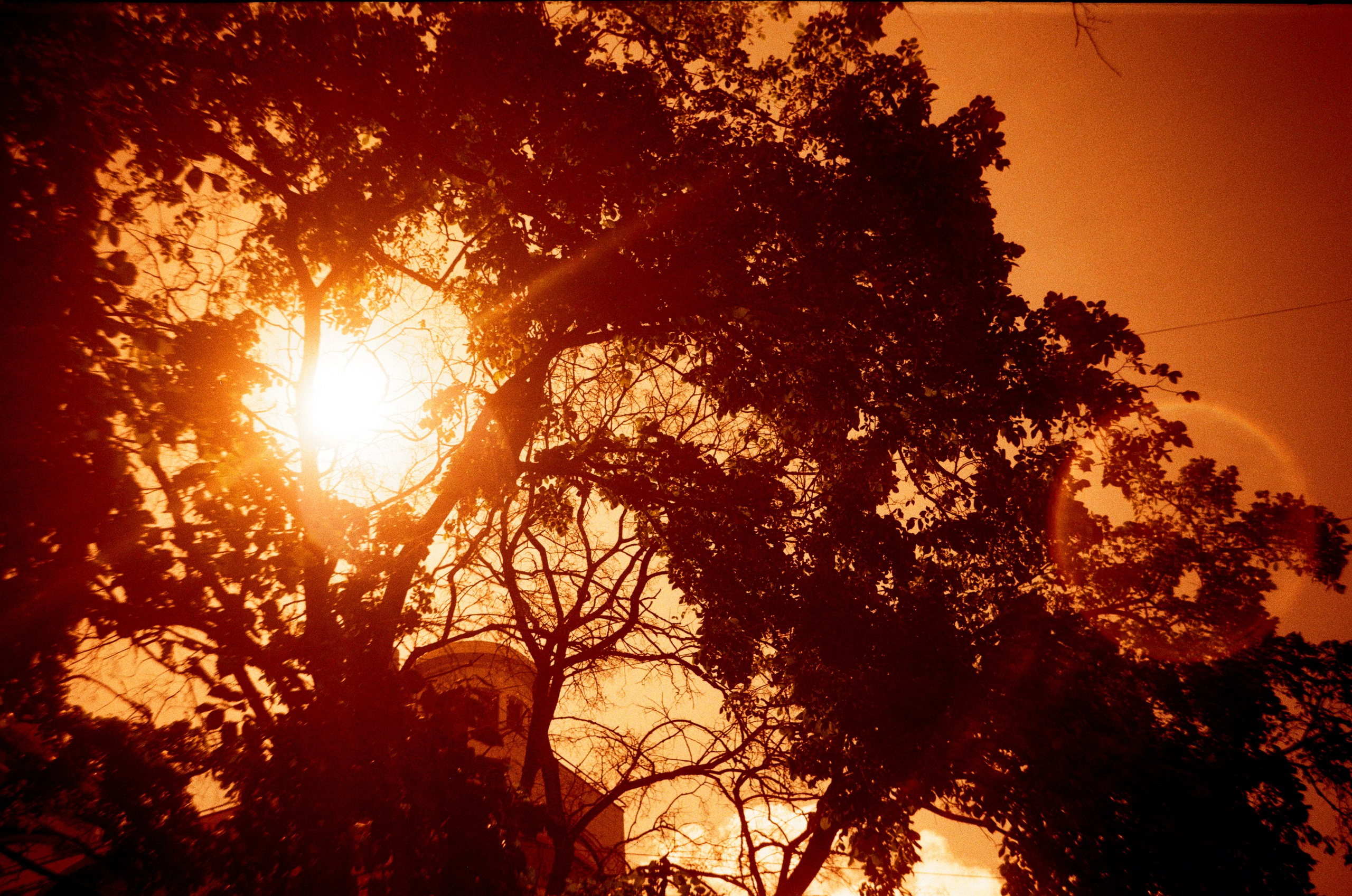 Redscale. Варвара Цымбал