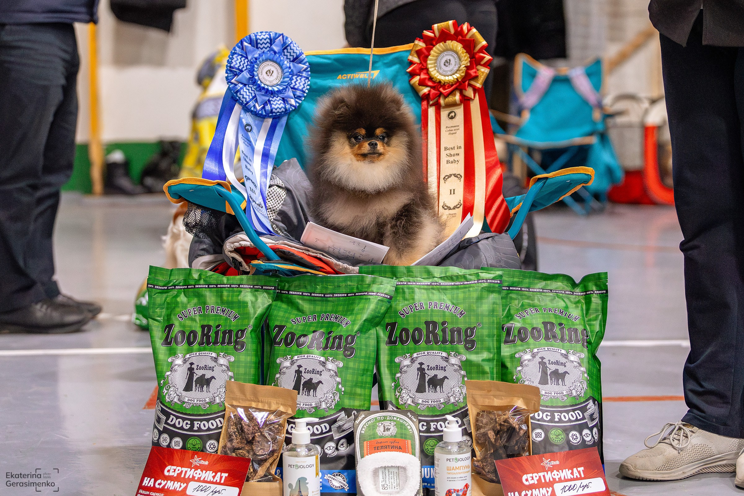 23 ноября 2024, Выставка РКФ, г. Пермь. Htykk_photo