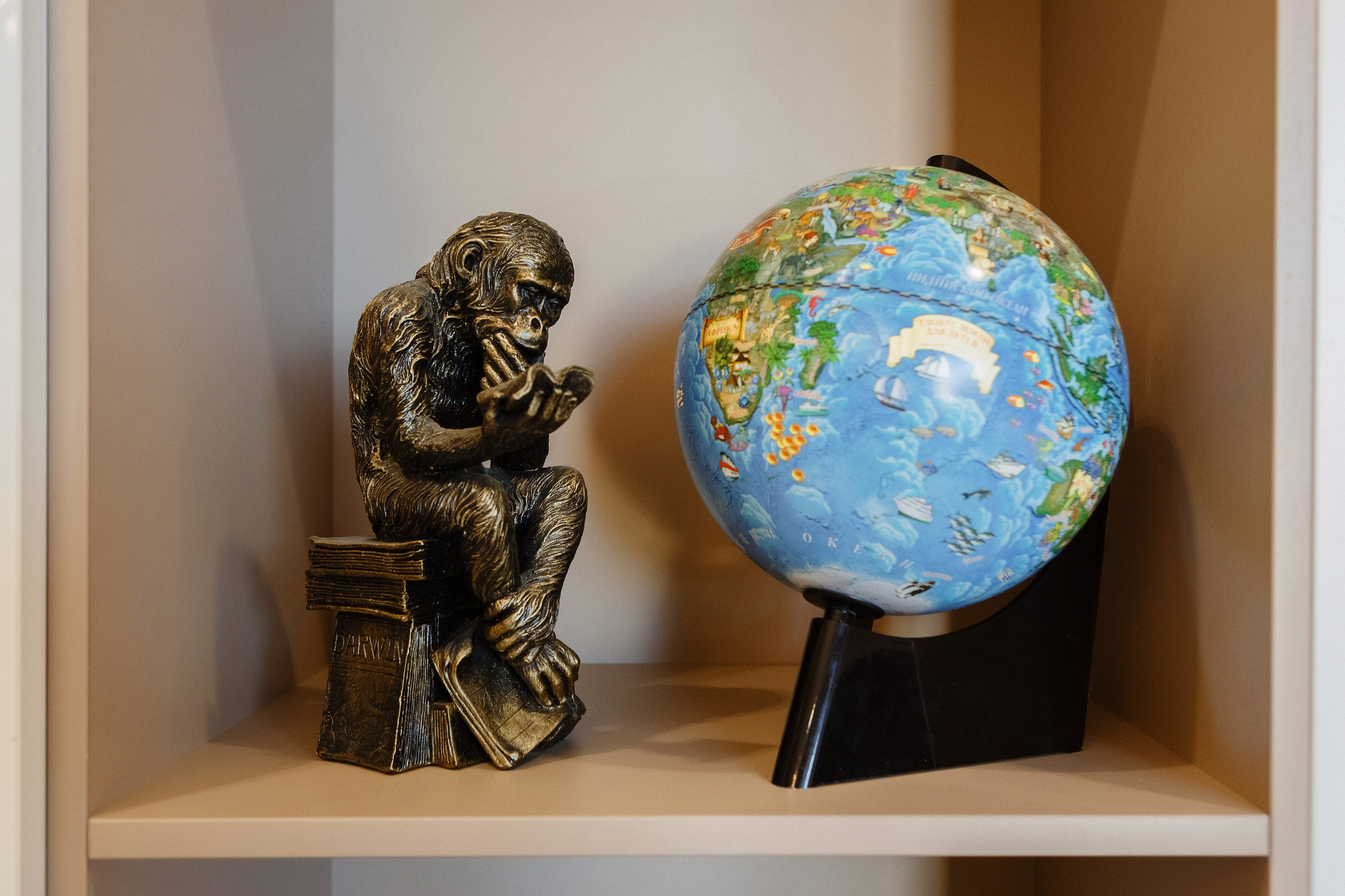 Фотографии недвижимости в Таганроге: Взгляд профессионала от фотографа. Свадебный и семейный фотограф в Таганроге Бакарюк Антон