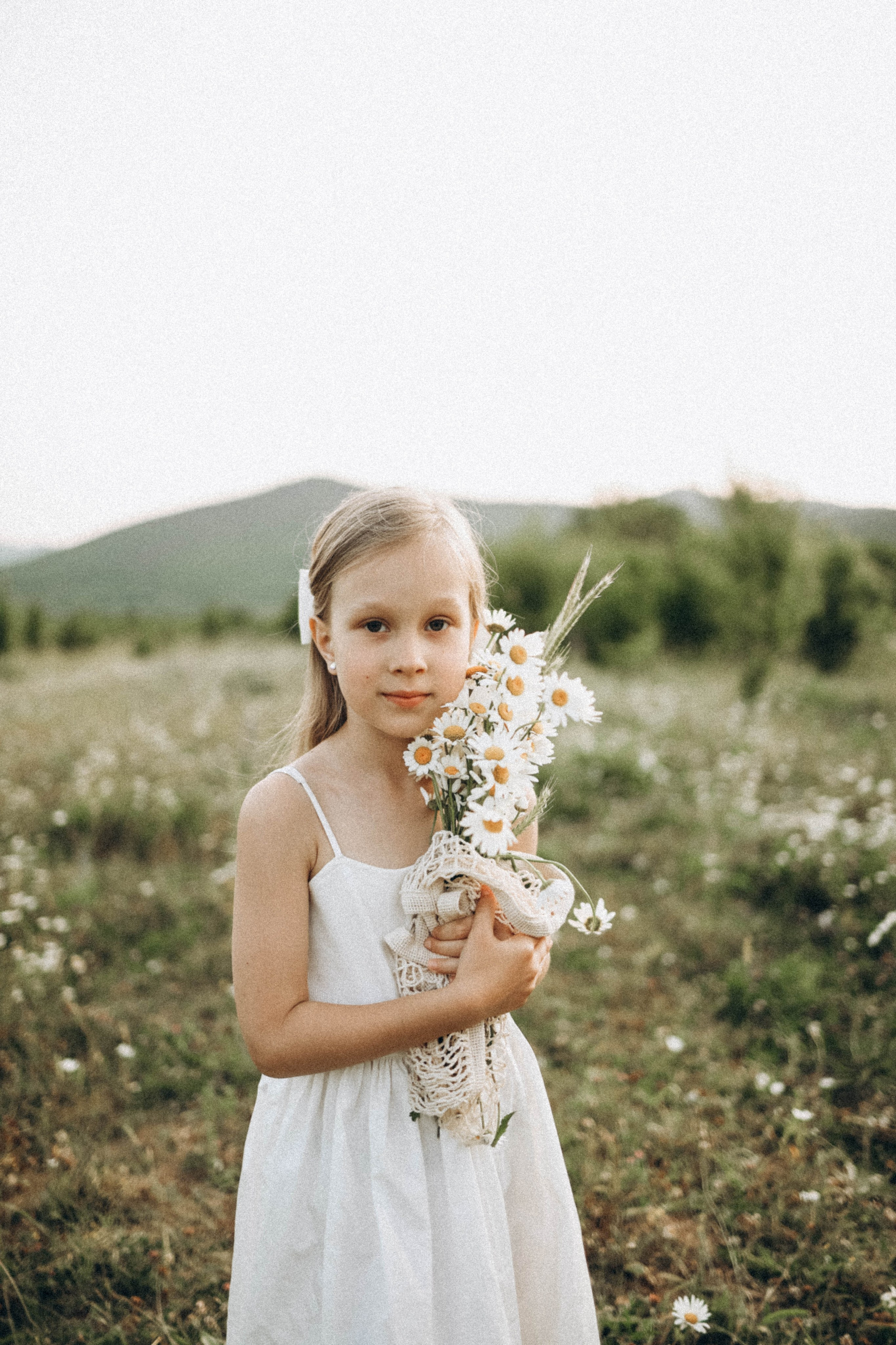 Ромашки. Фотограф Немазенко Ольга